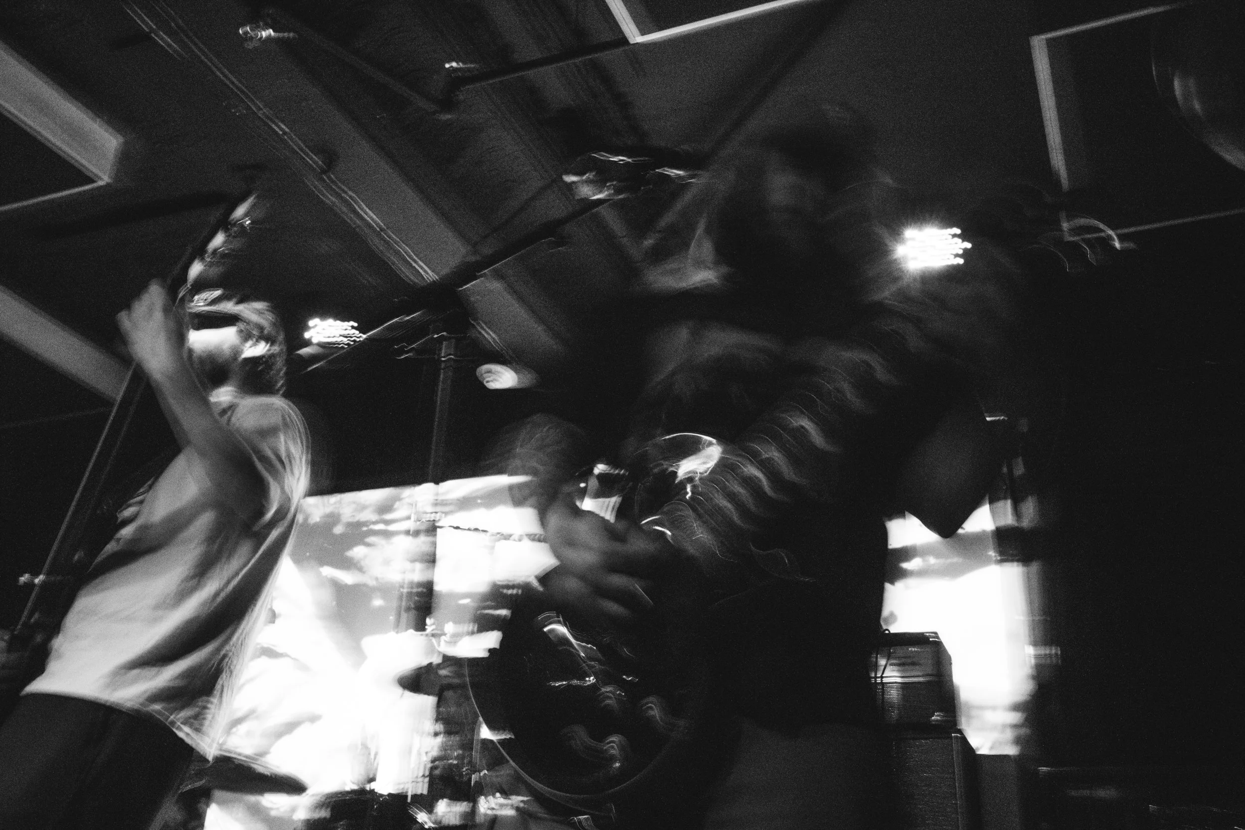 0826_swamphead_010.jpg