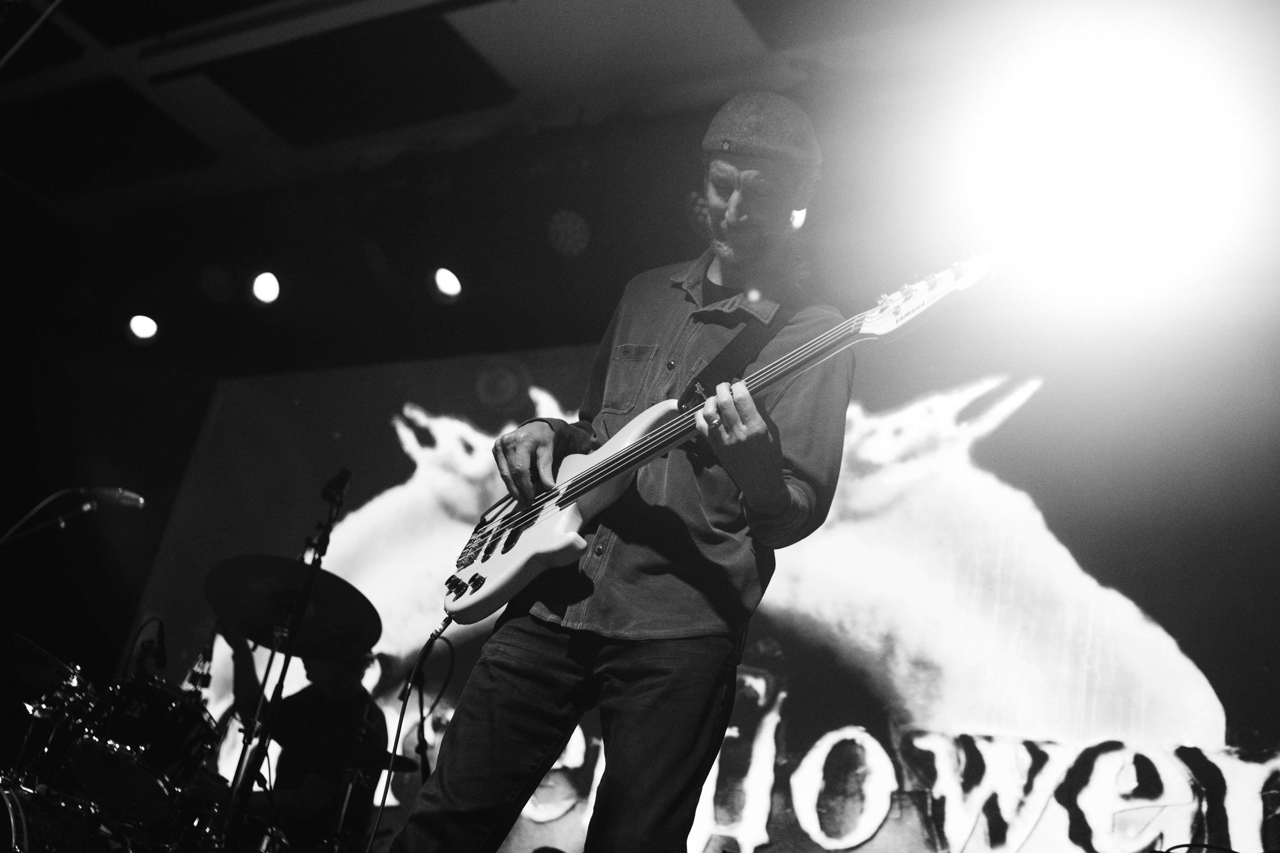 0926_squirrelflower_022.jpg