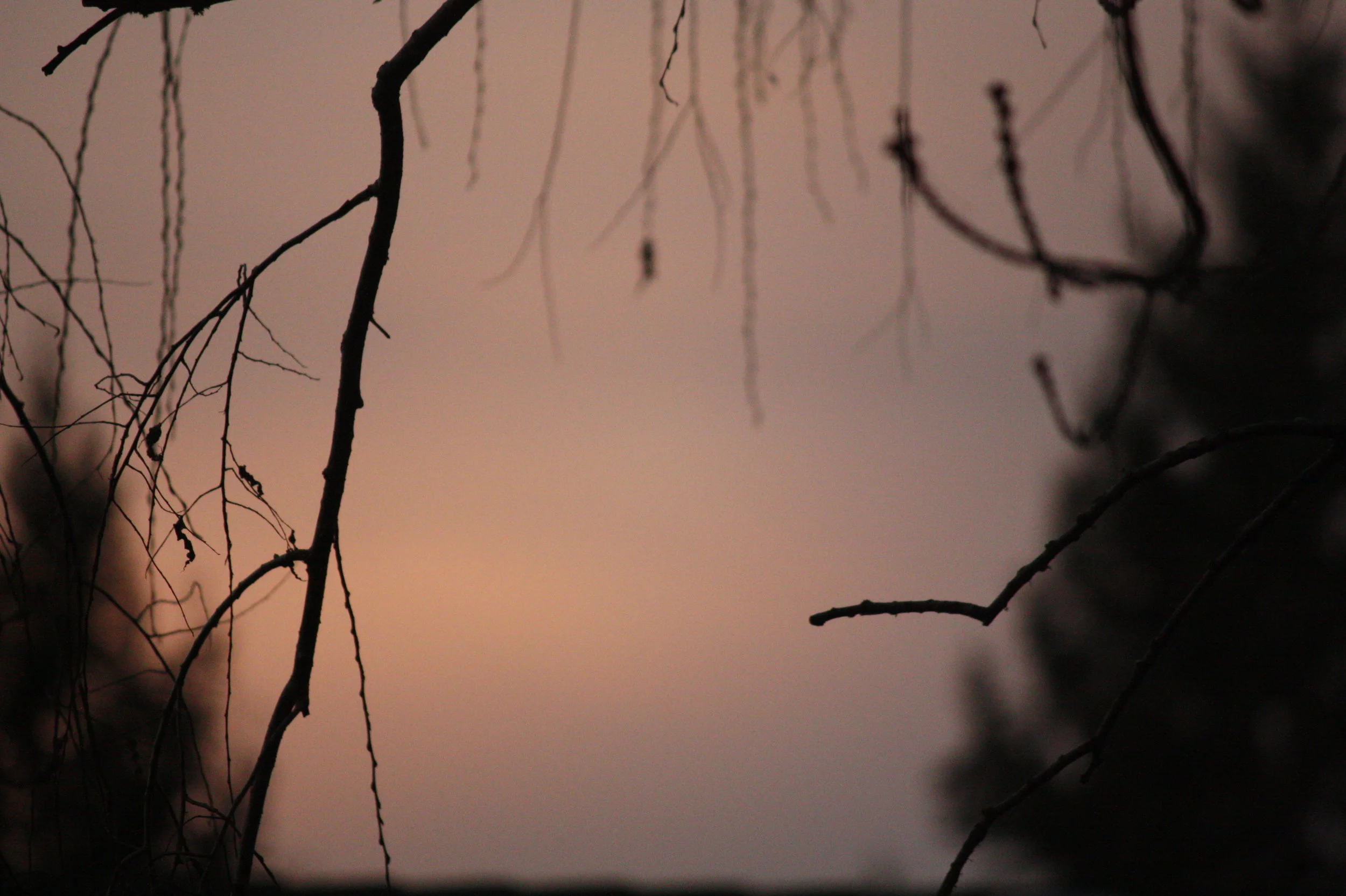 IMG_7242.JPG