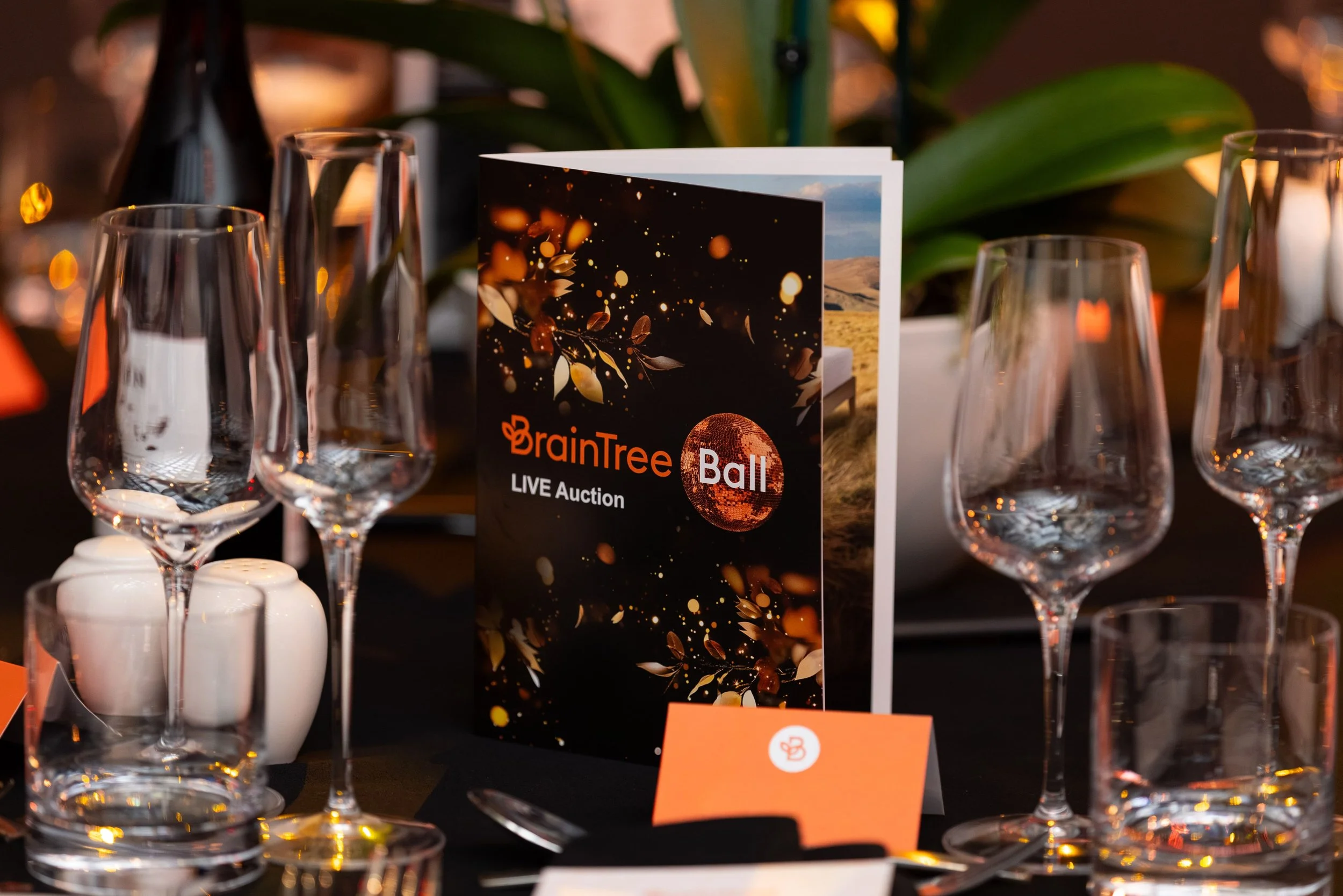 btb26_promotional_016.jpg