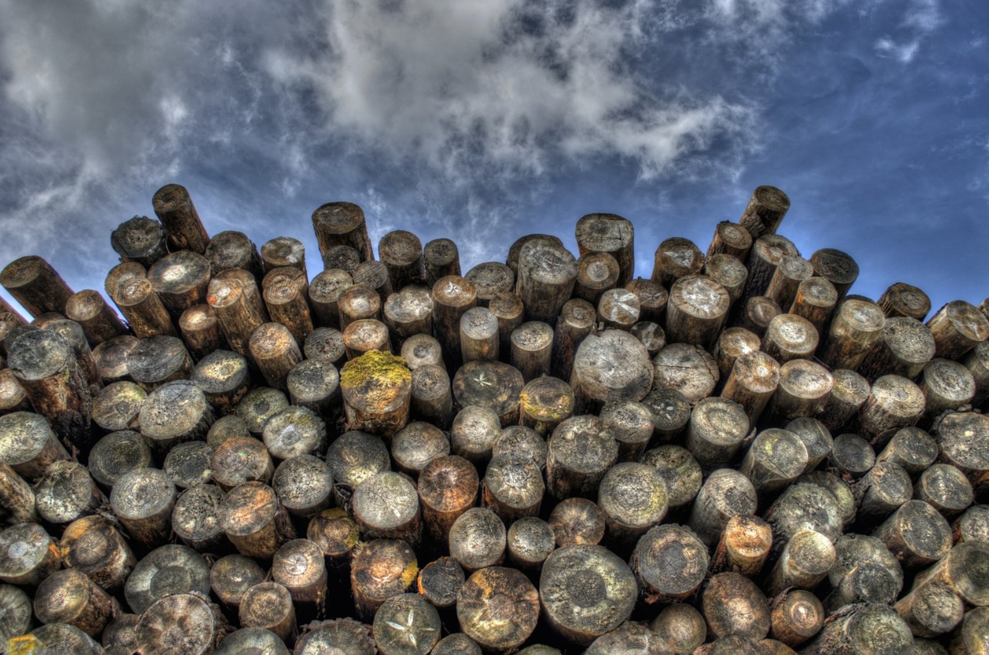 logs.jpg