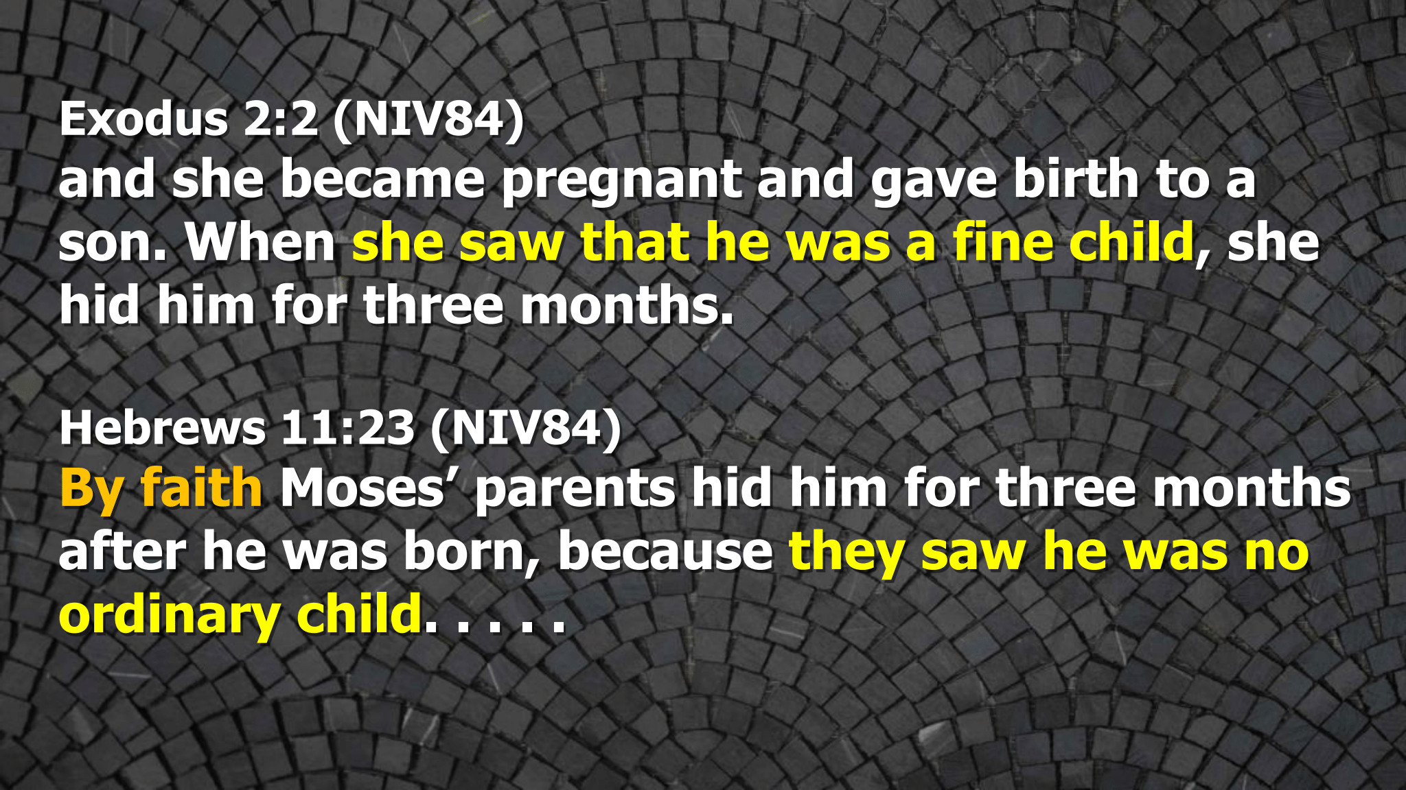 Mothers day 2026 (Page 14).png
