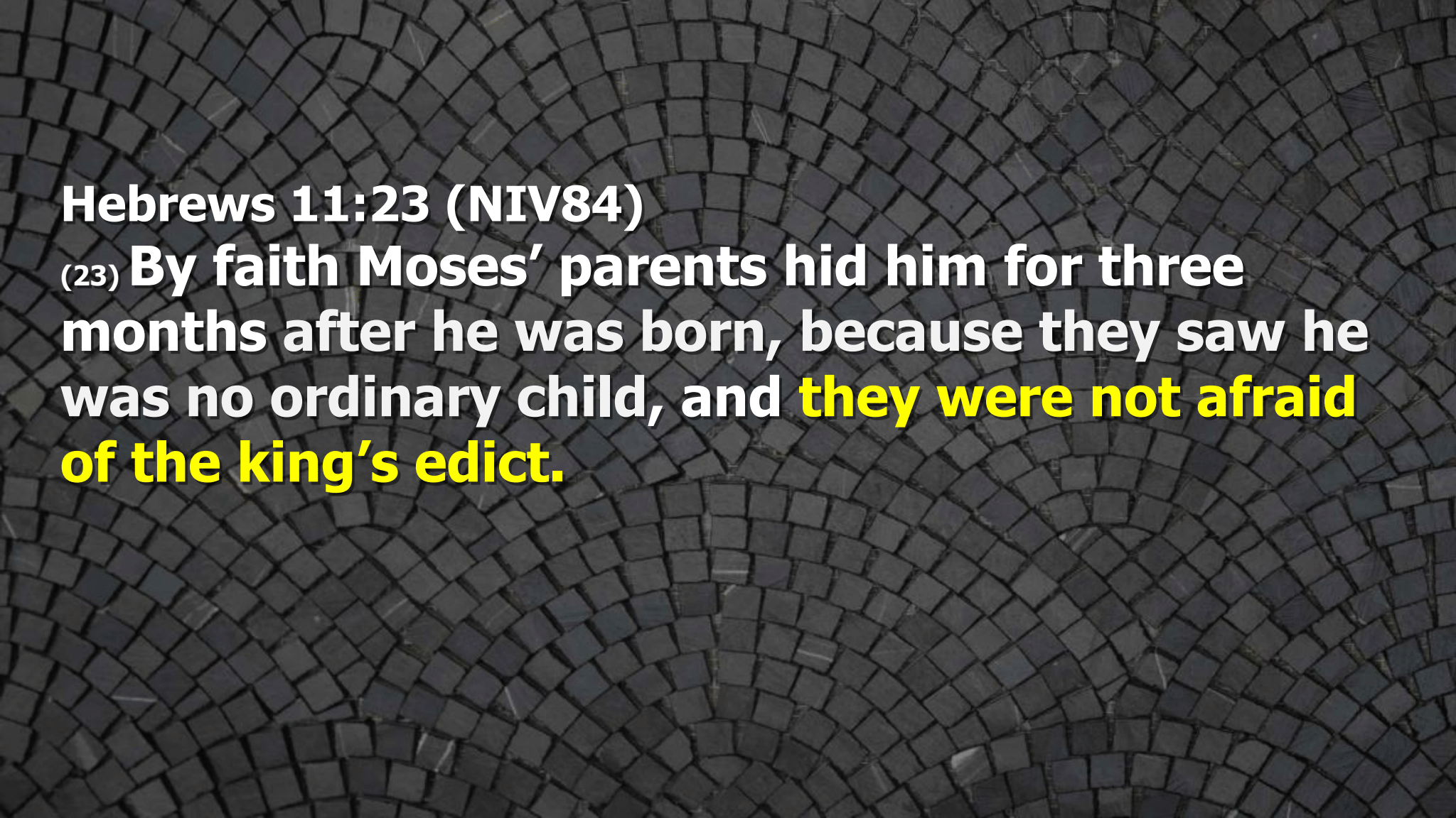 Mothers day 2026 (Page 16).png