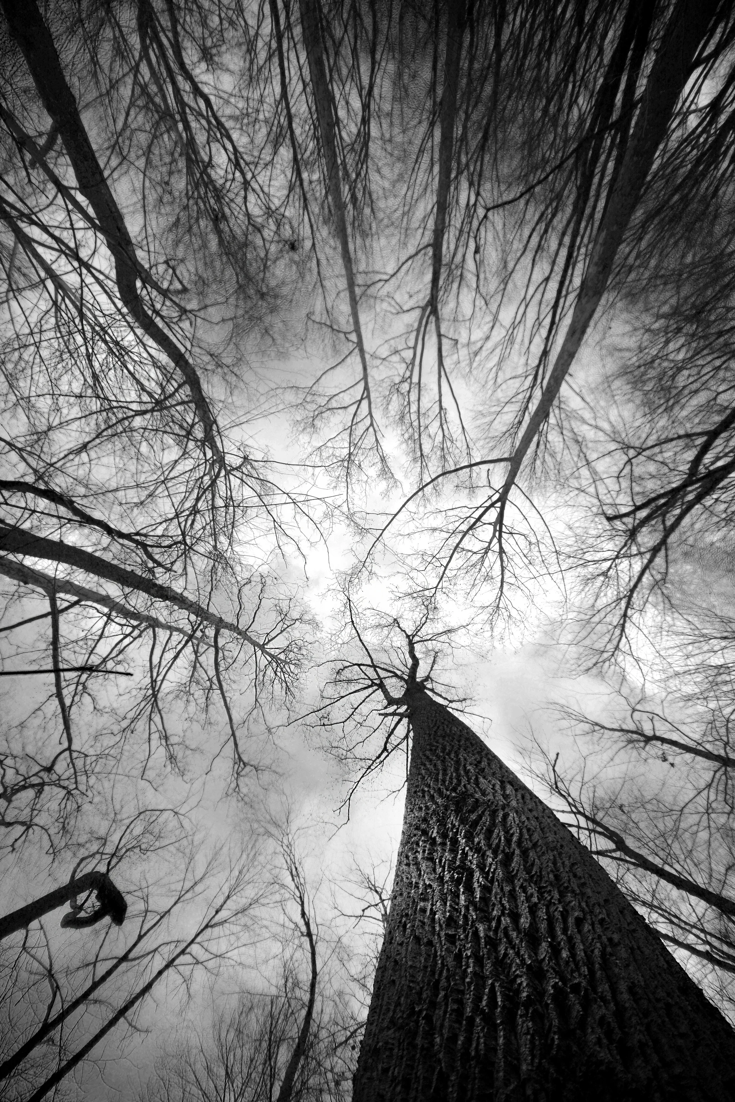 Disoriented-2.jpg