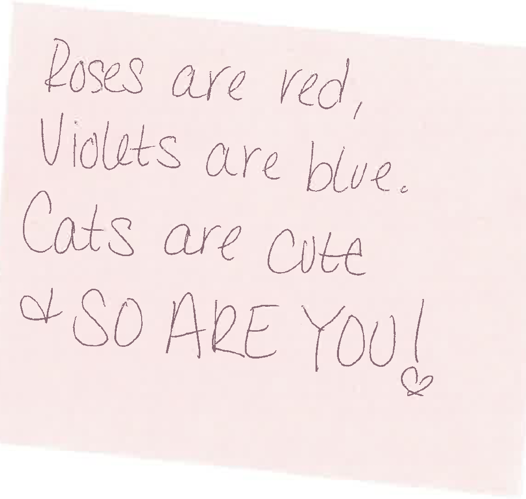 Screenshot 2026-02-17 at 1.40.51 PM.png