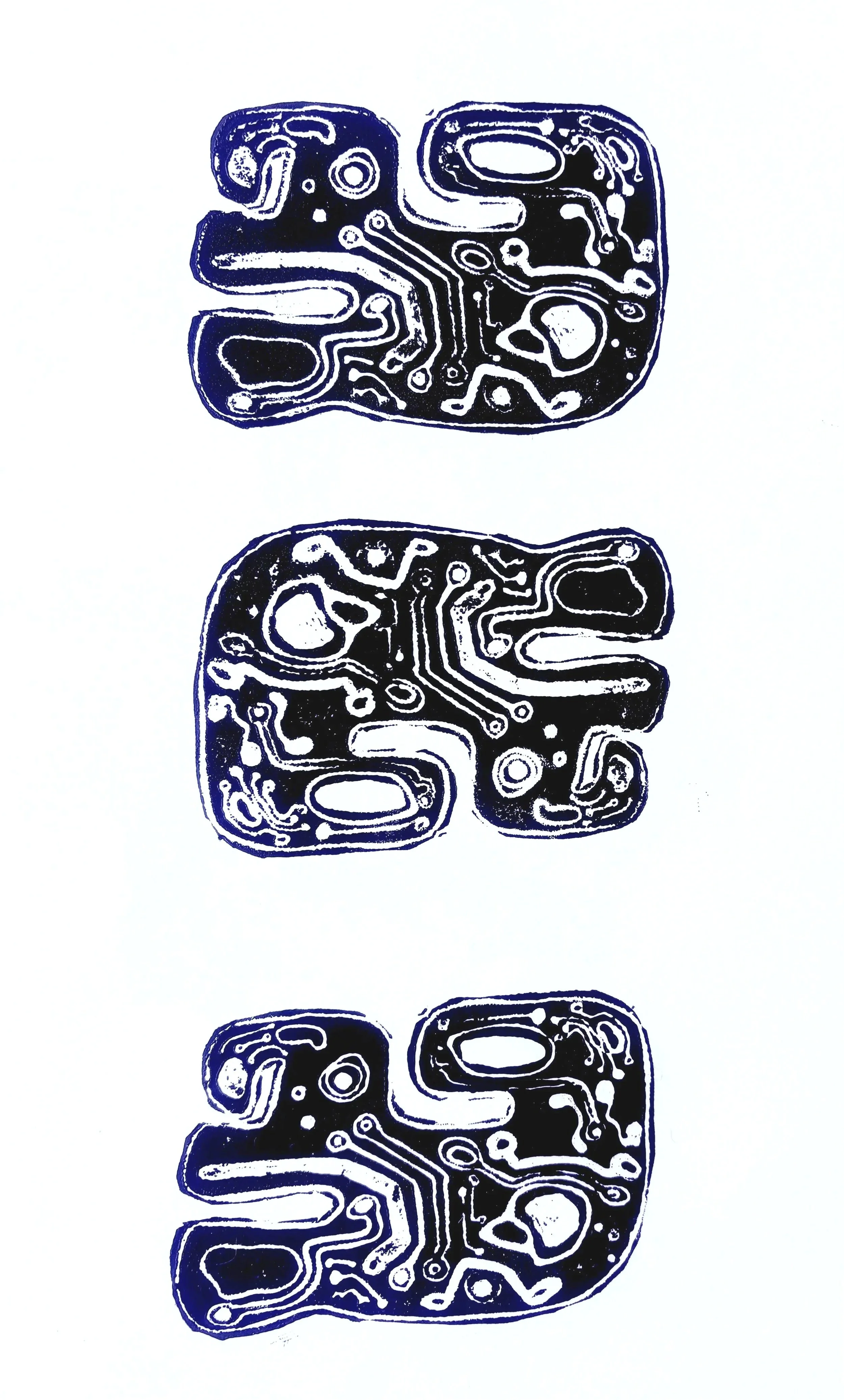 Biomorphic Motherboards 1