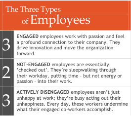 Adopted from Gallup (2006)