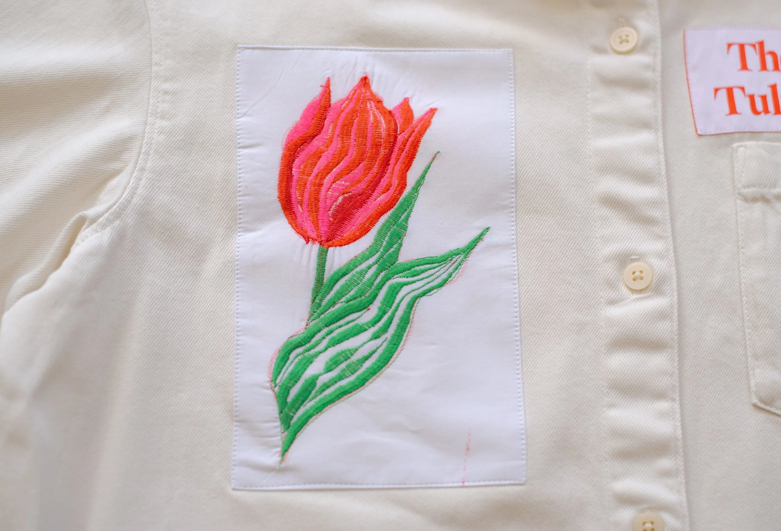 3.The Stages of a tulips life cycle-L4.jpg