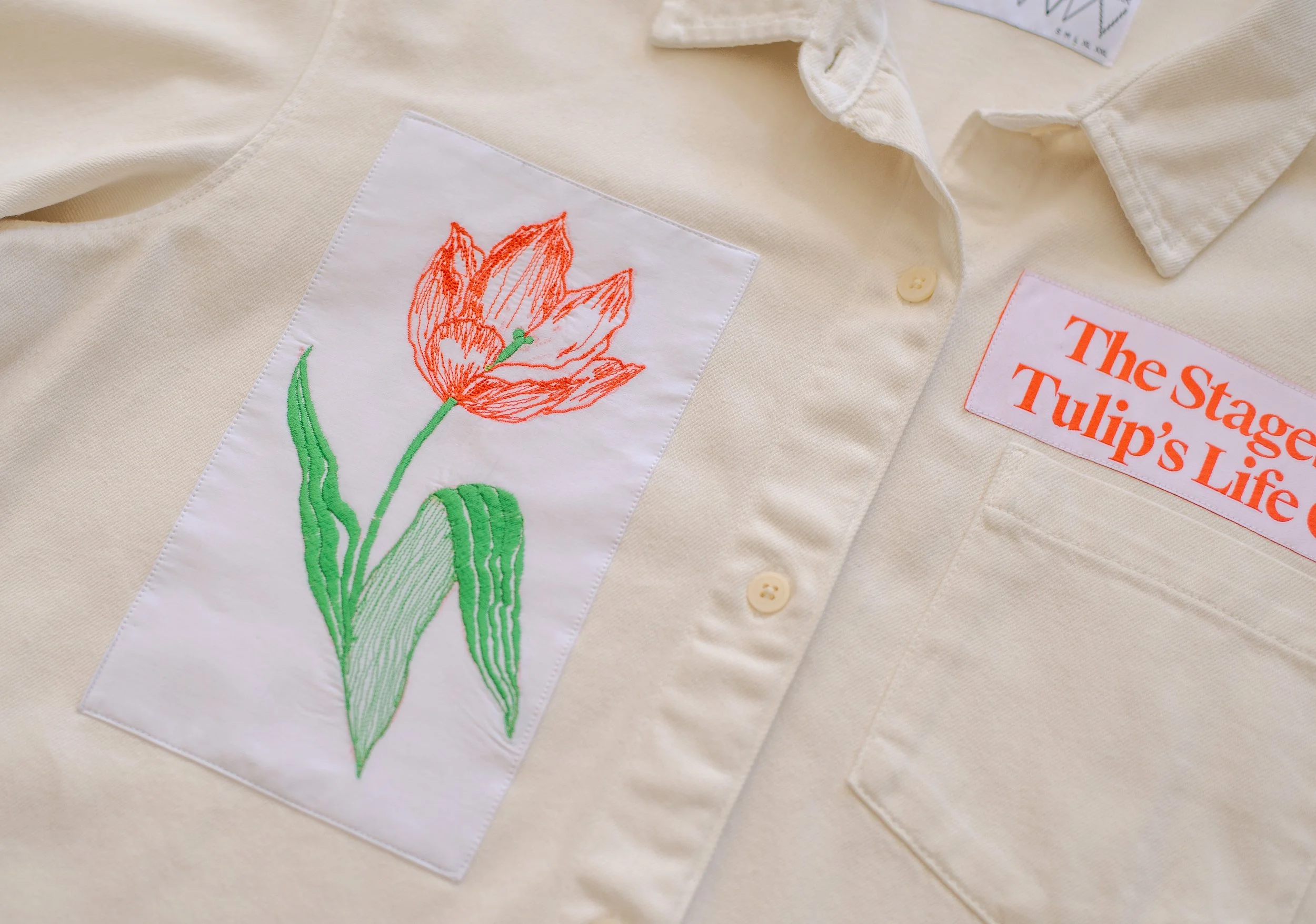 4.The Stages of a tulips life cycle-L3.jpg