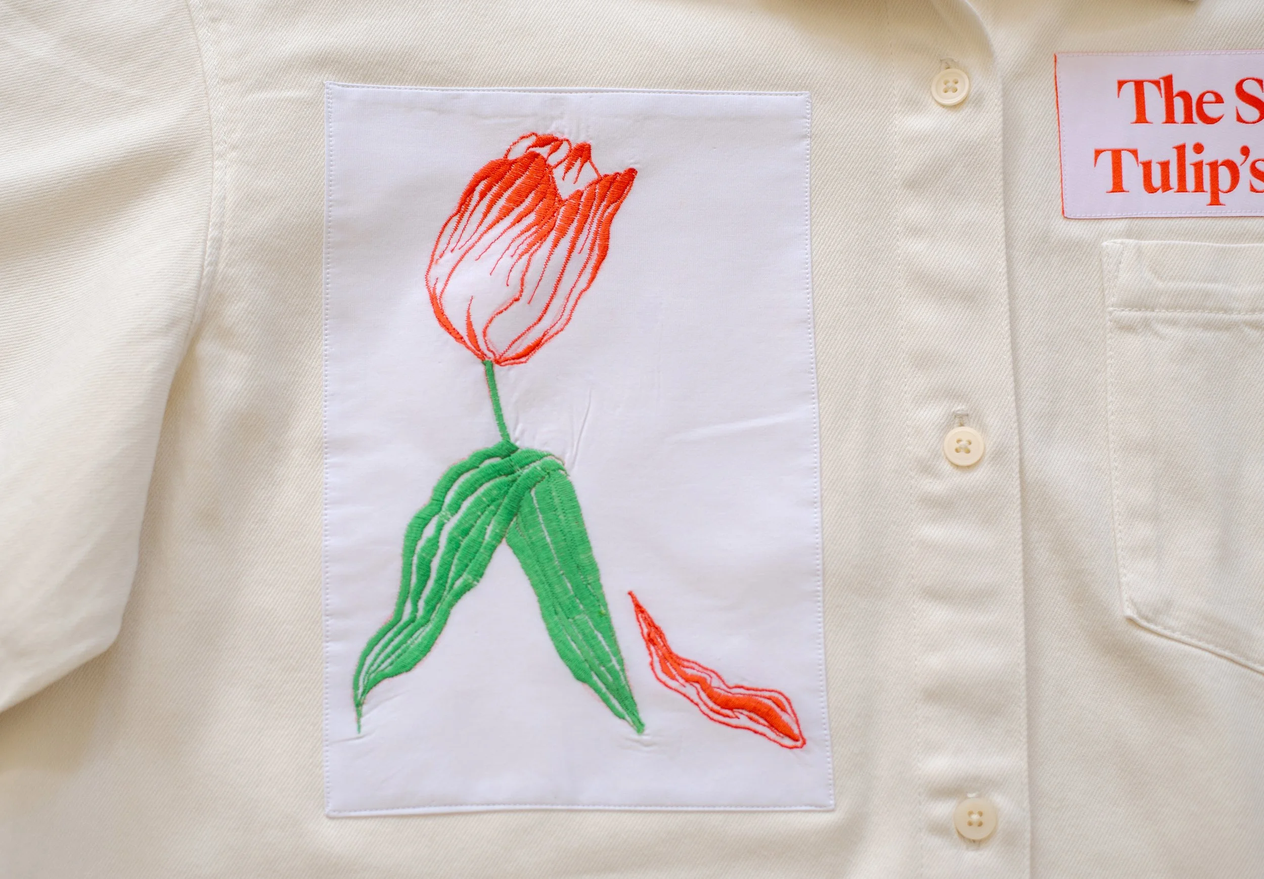5.The Stages of a tulips life cycle-XL2.jpg