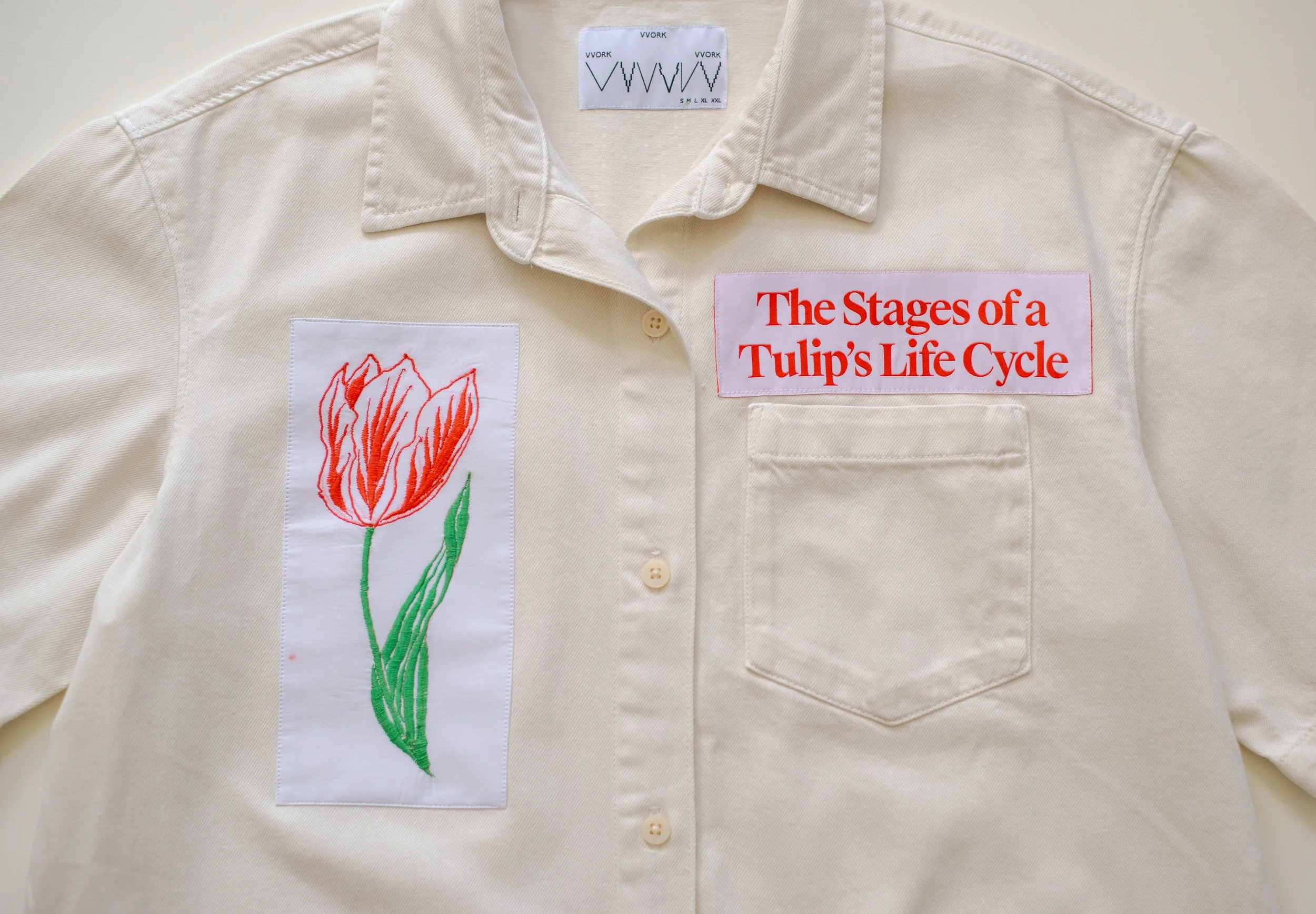 1.The Stages of a tulips life cycle-M3.jpg