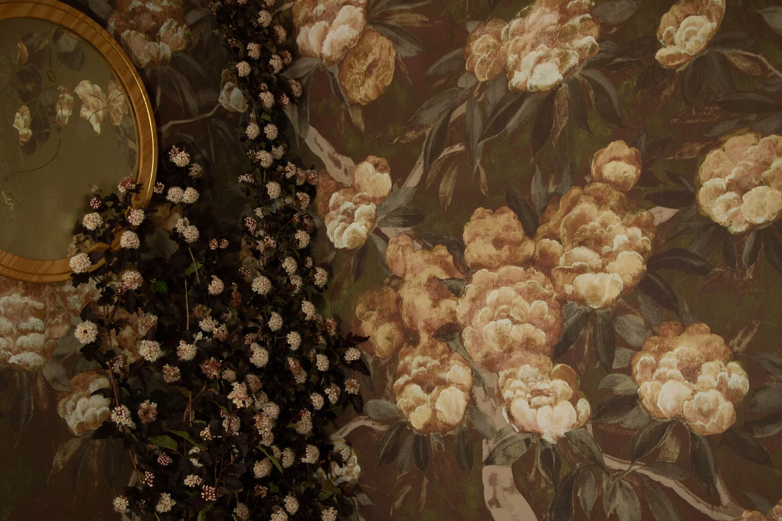 Peony_Wuthering Winds_Kudzu mirror wide.jpg