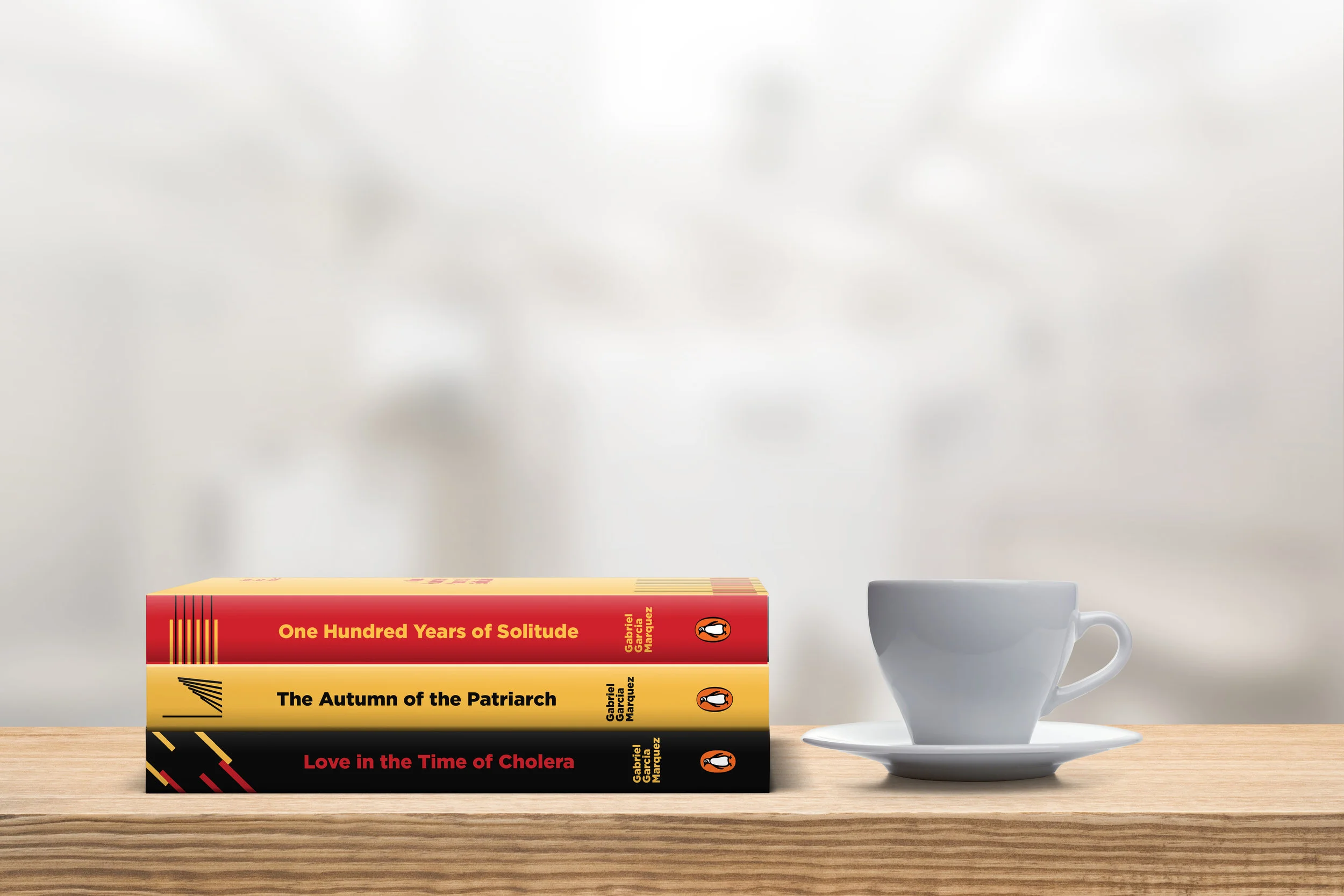 070-6x9-Books-Varying-Width-Spines-COVERVAULT.jpg