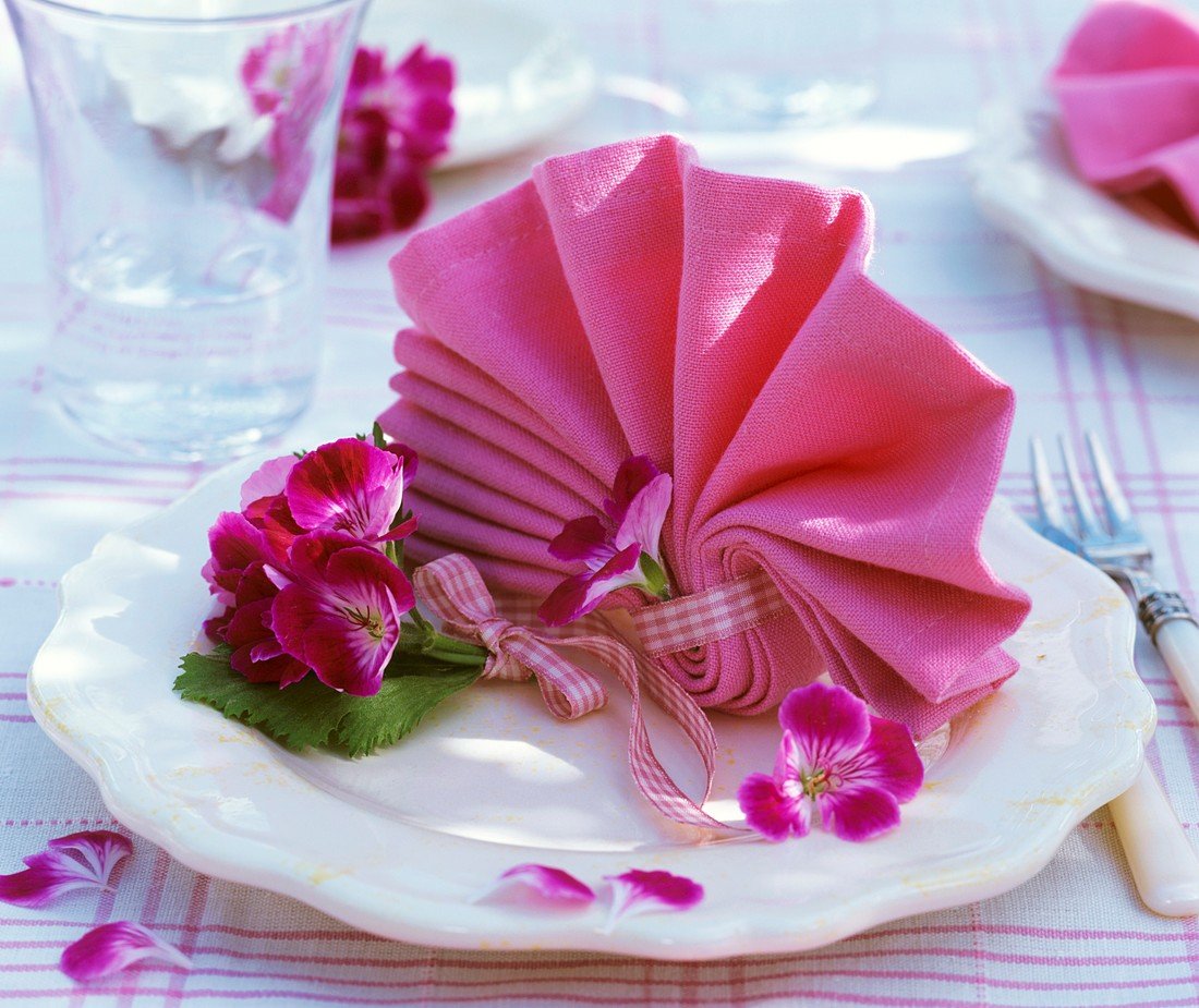 living4media_00375278_Layout_Napkin_folded_in_the_shape_of_a_fan_with_geranium_flowers.jpg