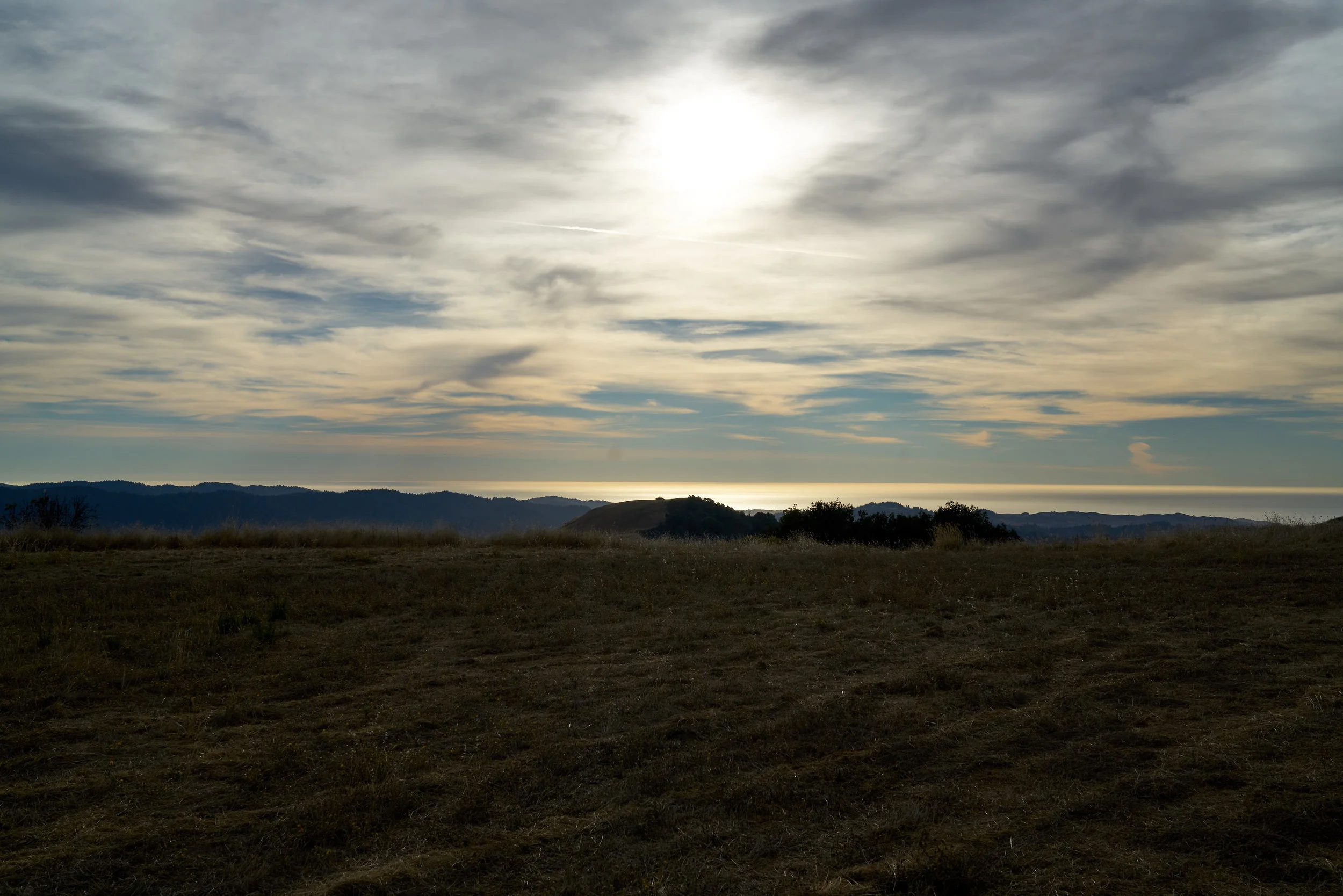 DSC07986.jpg