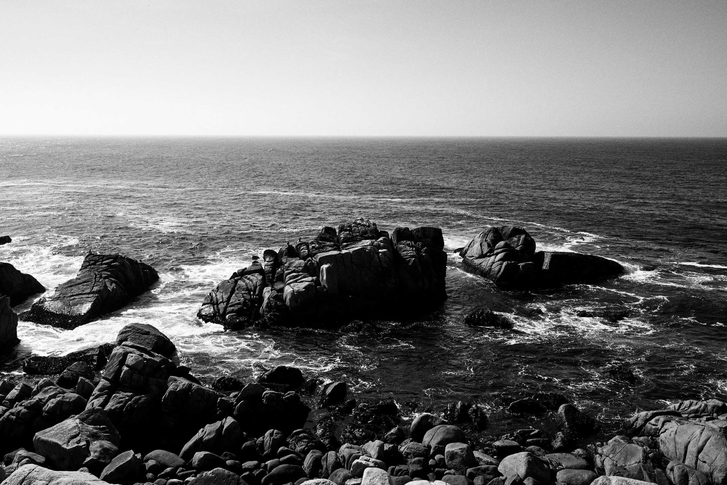 DSC08087.jpg