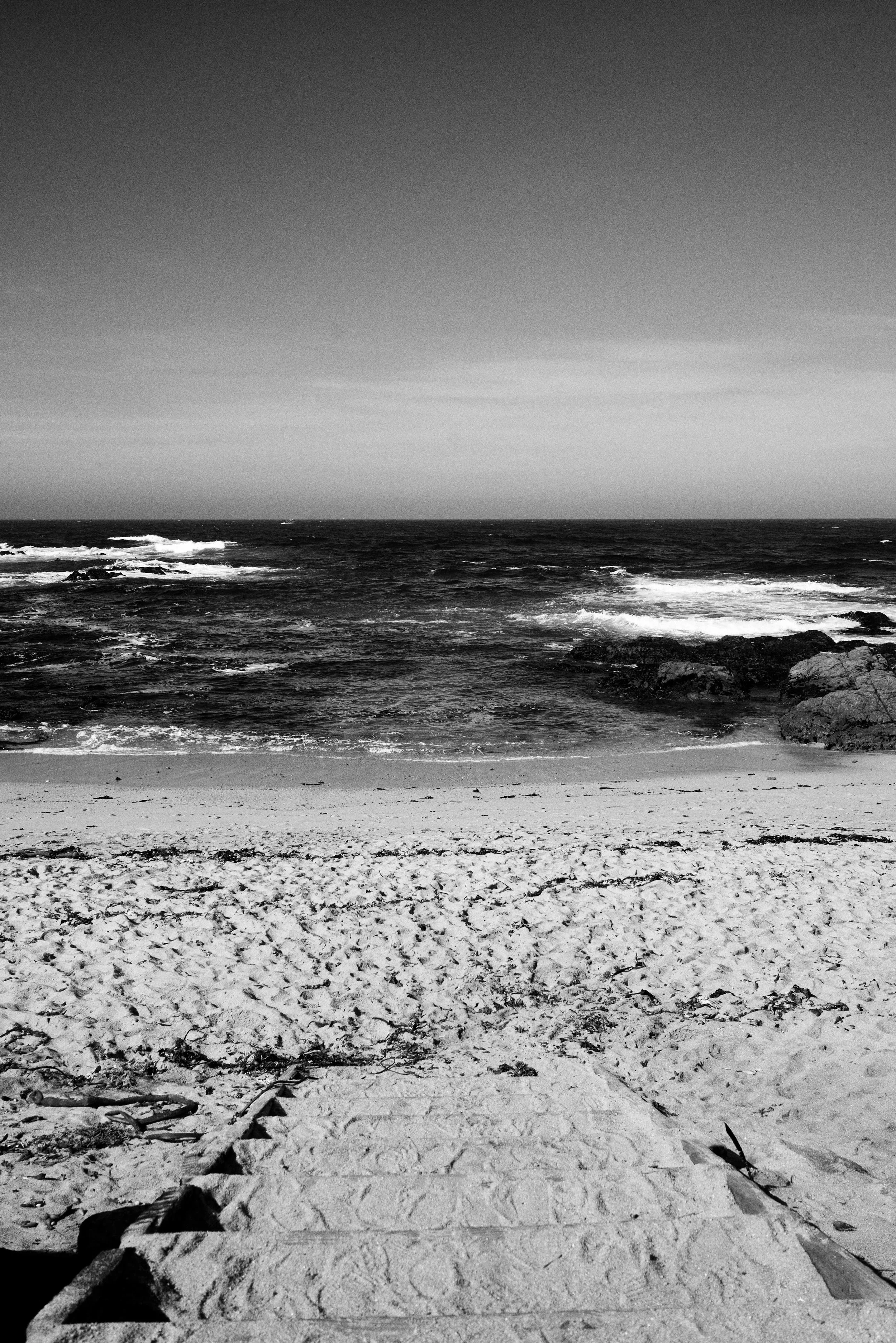 DSC08156.jpg