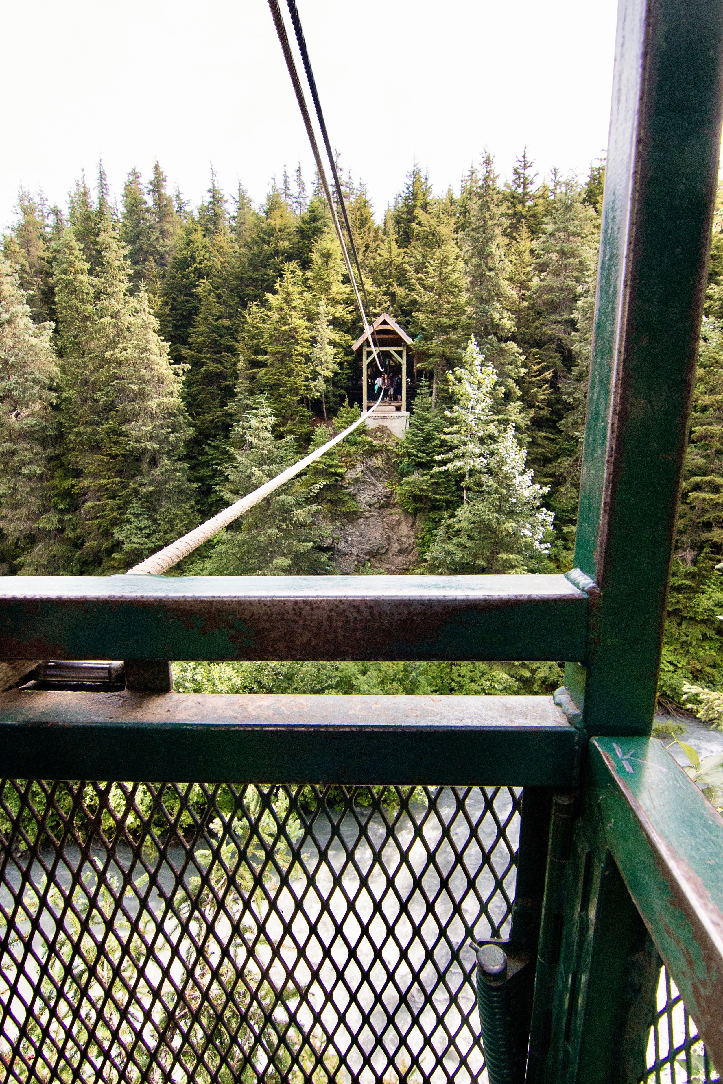 _MG_3643.jpg