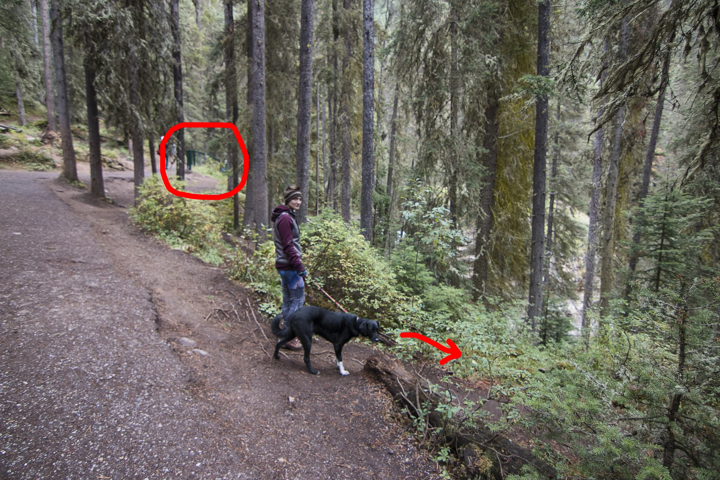 The end of the green railing at the overlook circled and an arrow at the beginning of the trail
