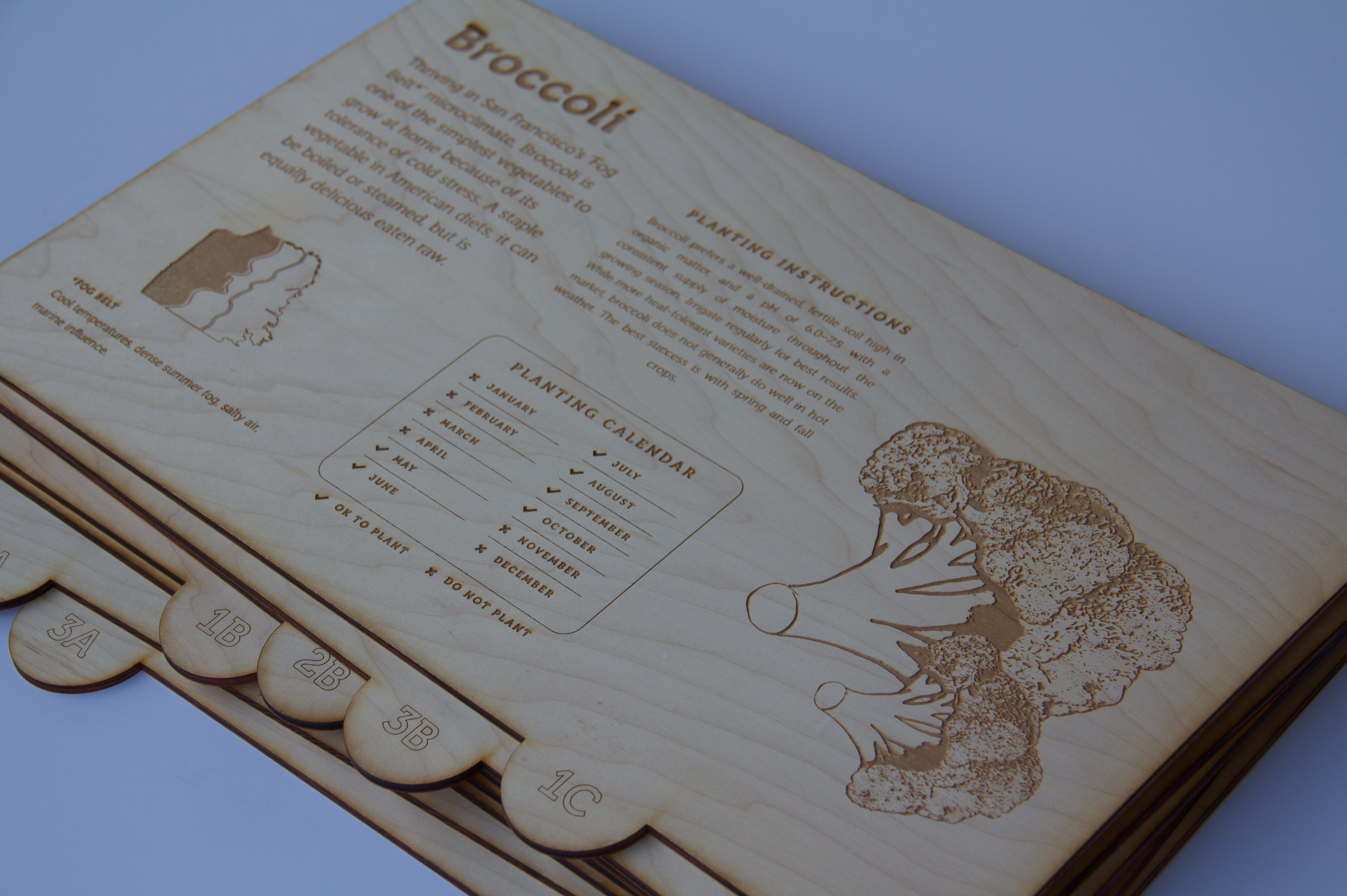 Screen Shot 2019-02-26 at 10.04.01 PM.png