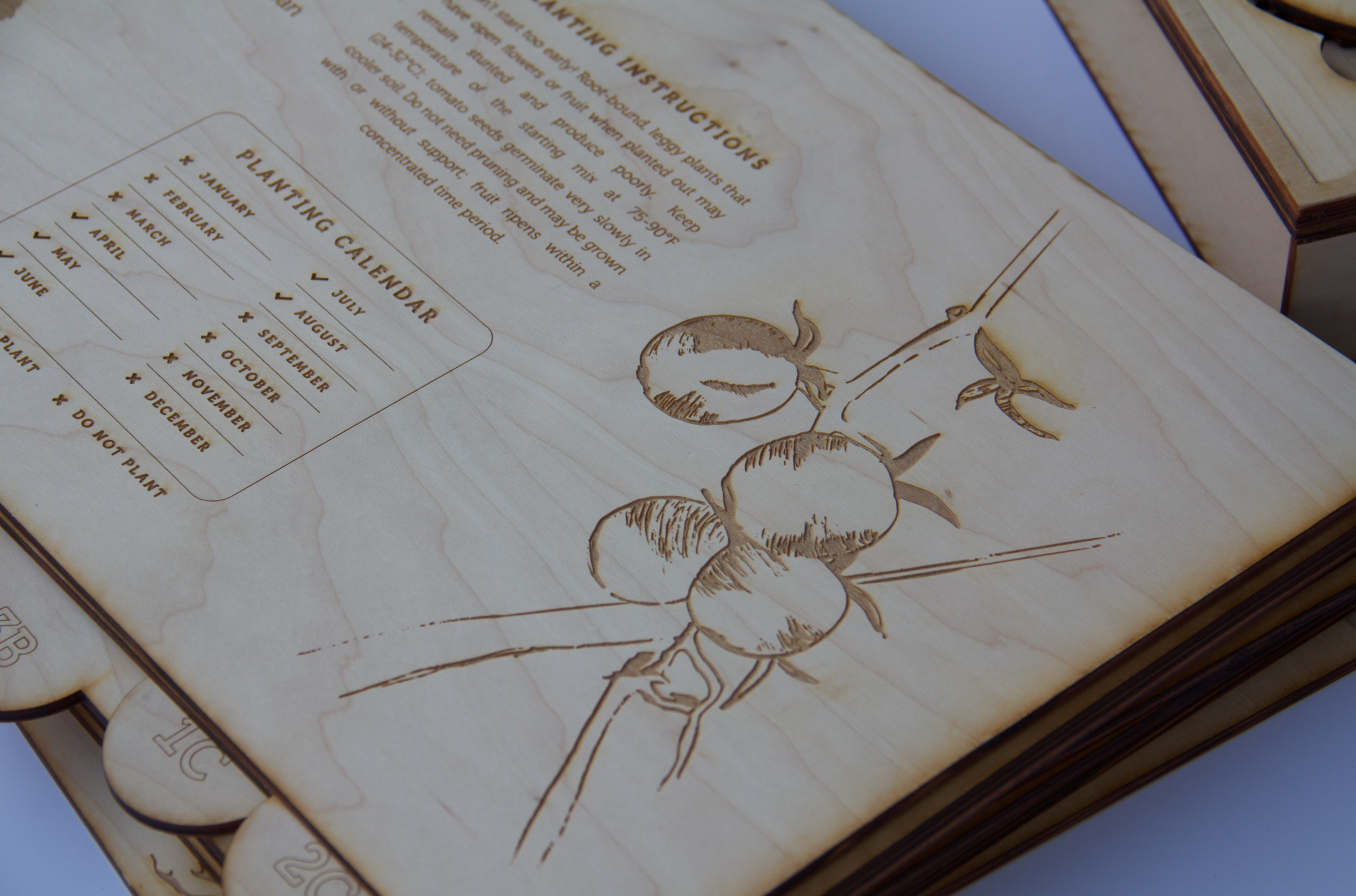 Screen Shot 2019-02-26 at 10.02.31 PM.png