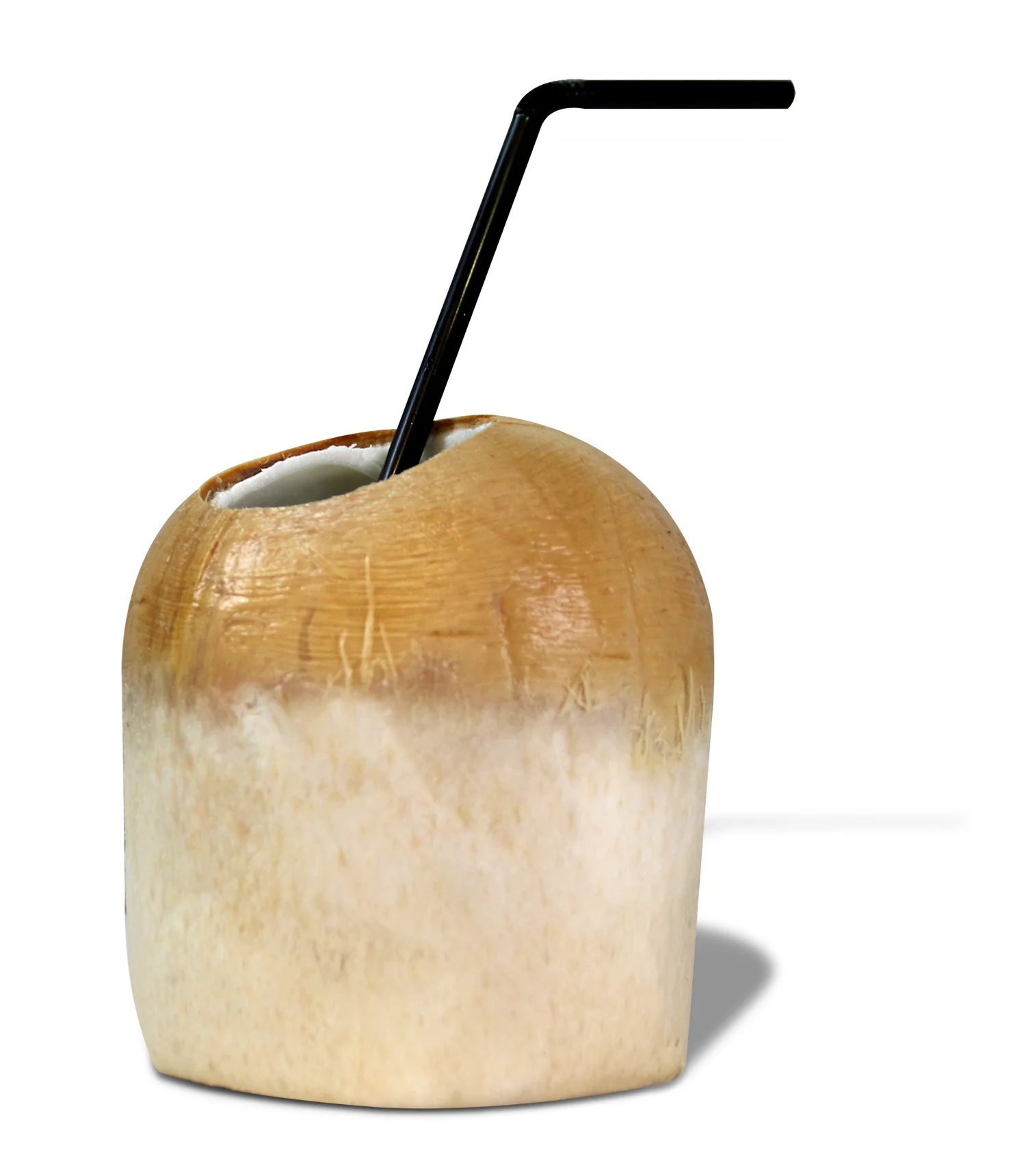 Coconut(SG).jpg