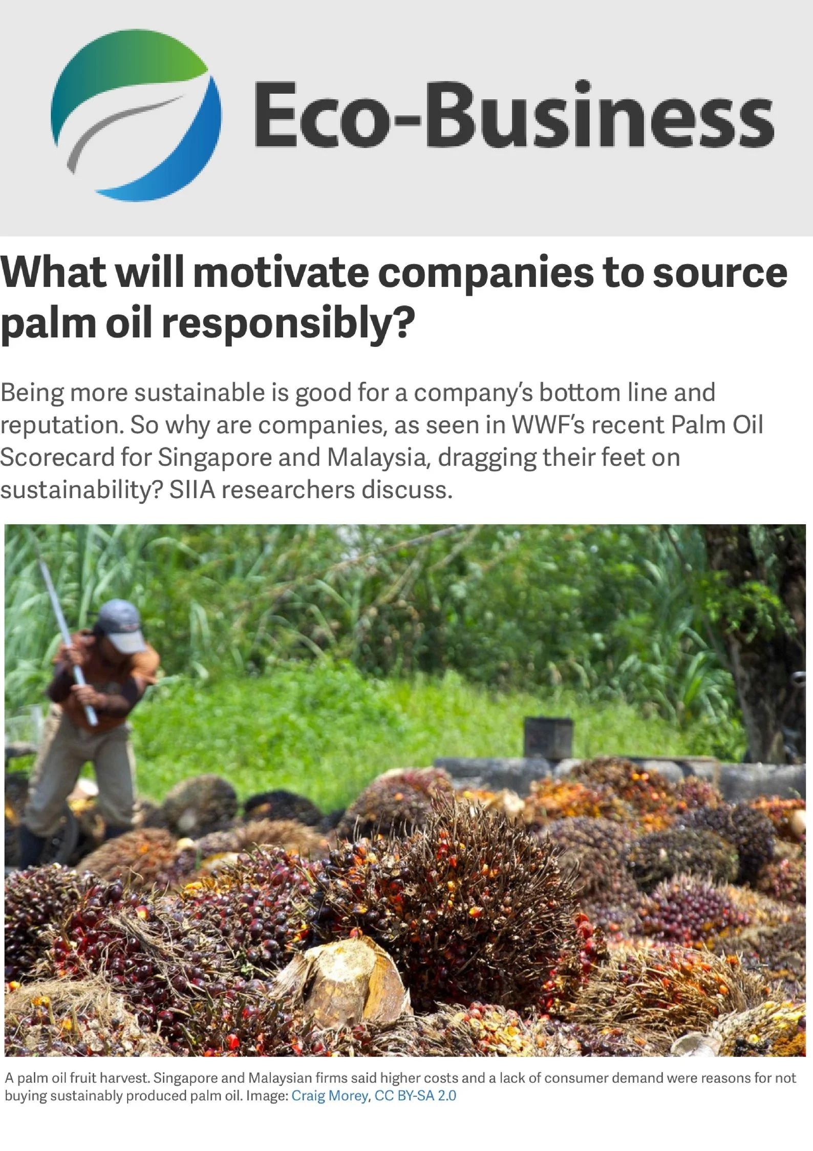 Eco-Business_ What will motivate companies to source palm oil responsibly_.jpg