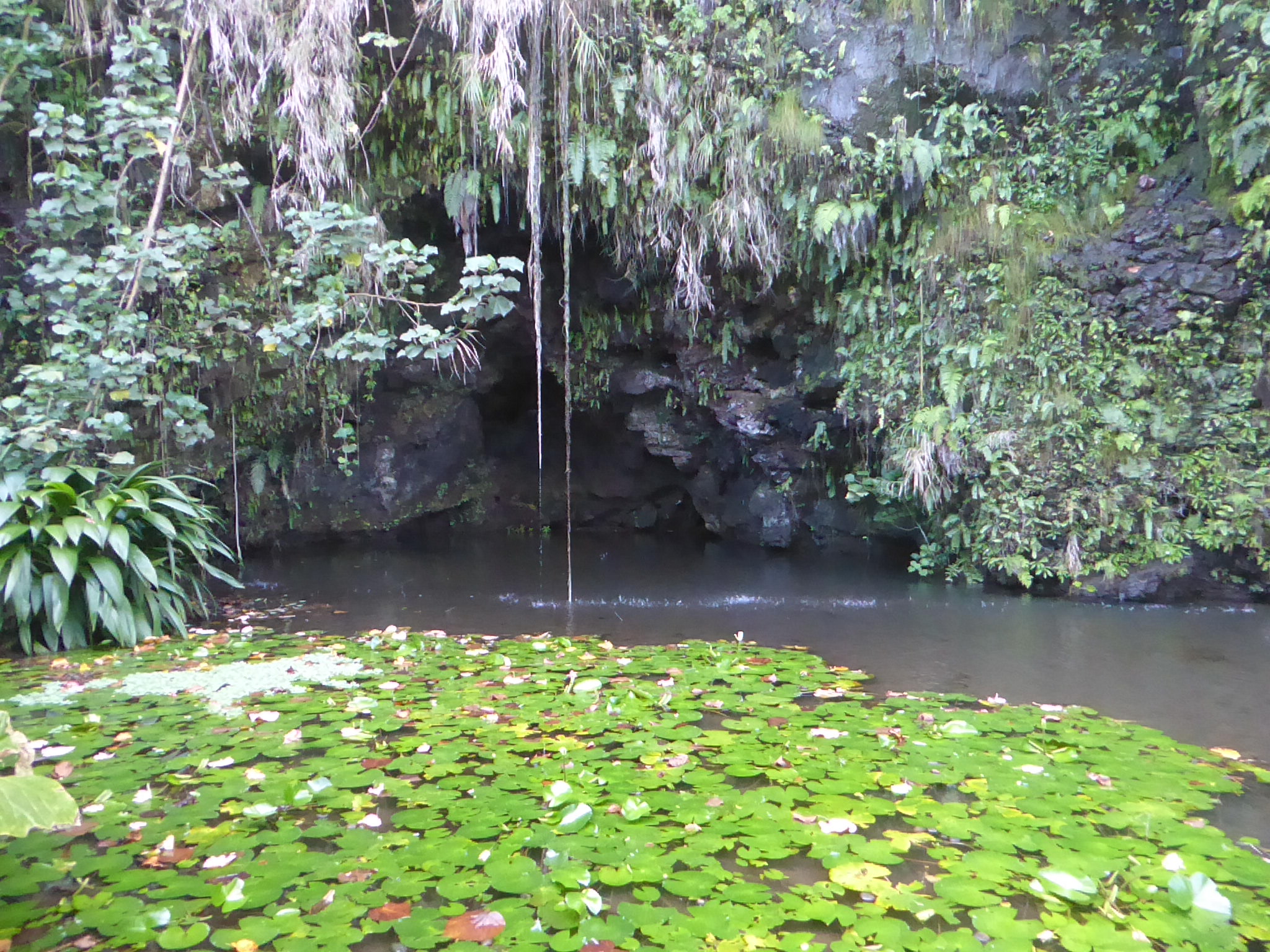 Serene gardens at the Grottes de Maraa which also has some walking options for those with the time