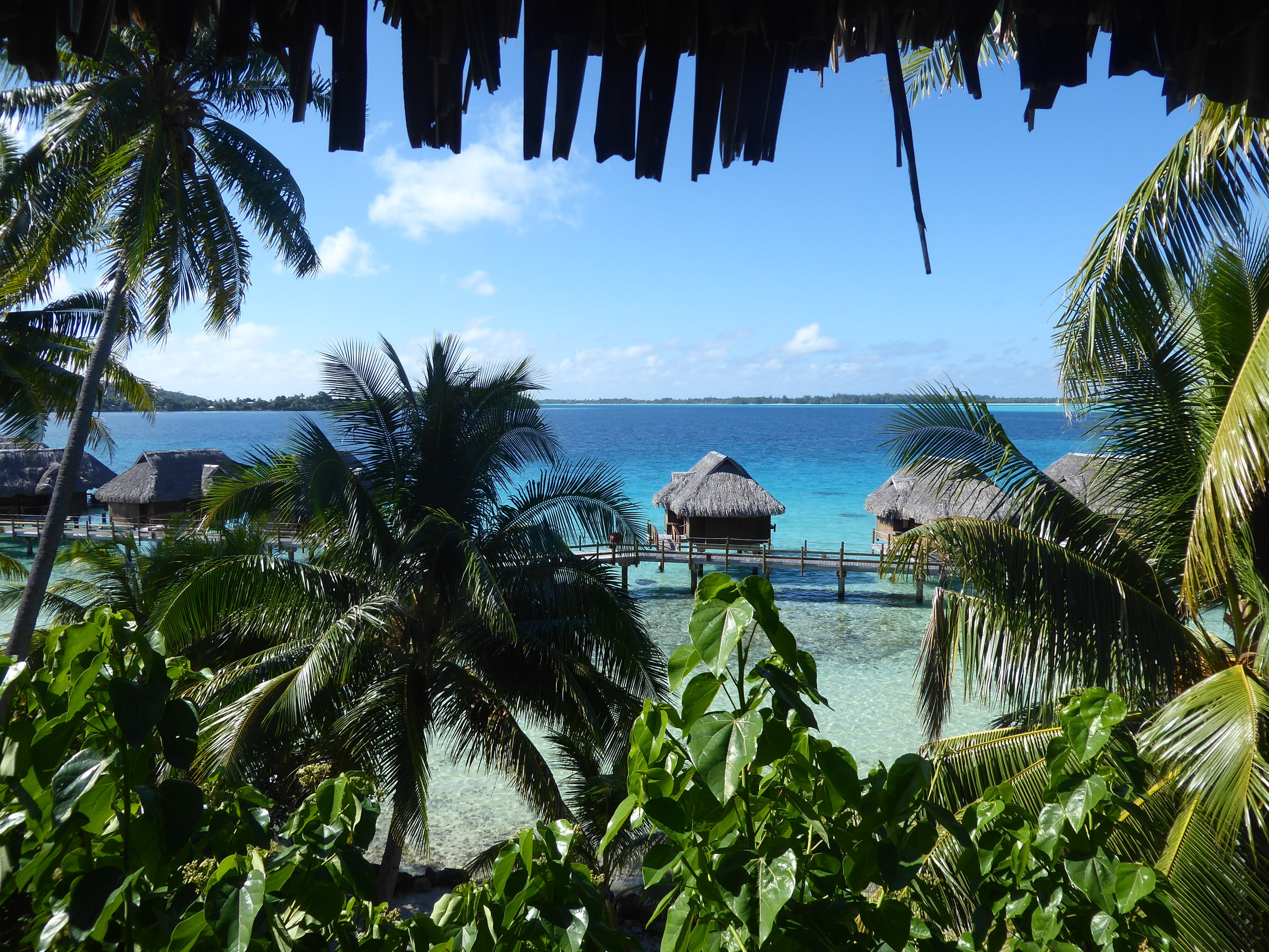and outside the Bungalow