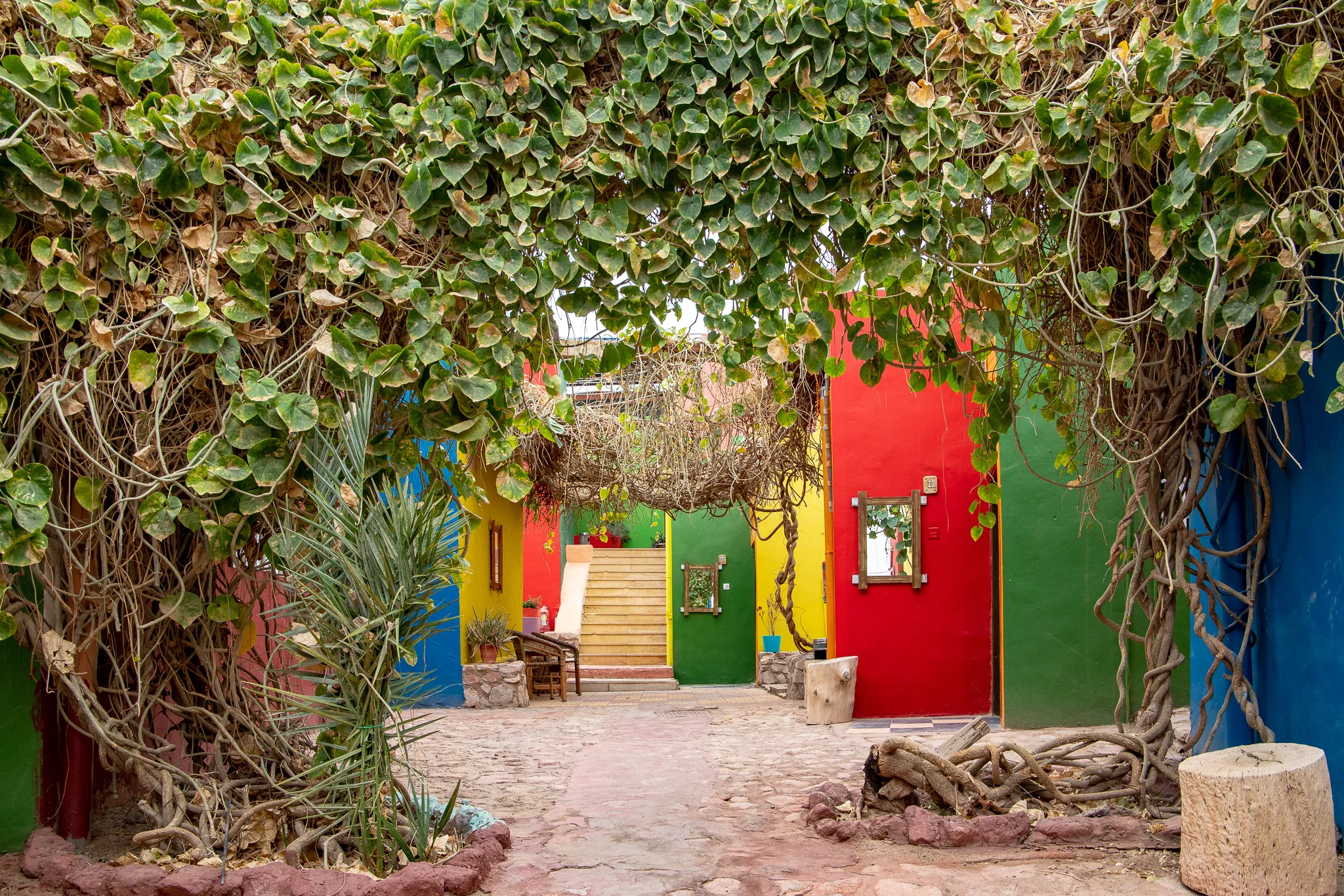 Bright and full of eclectic charm