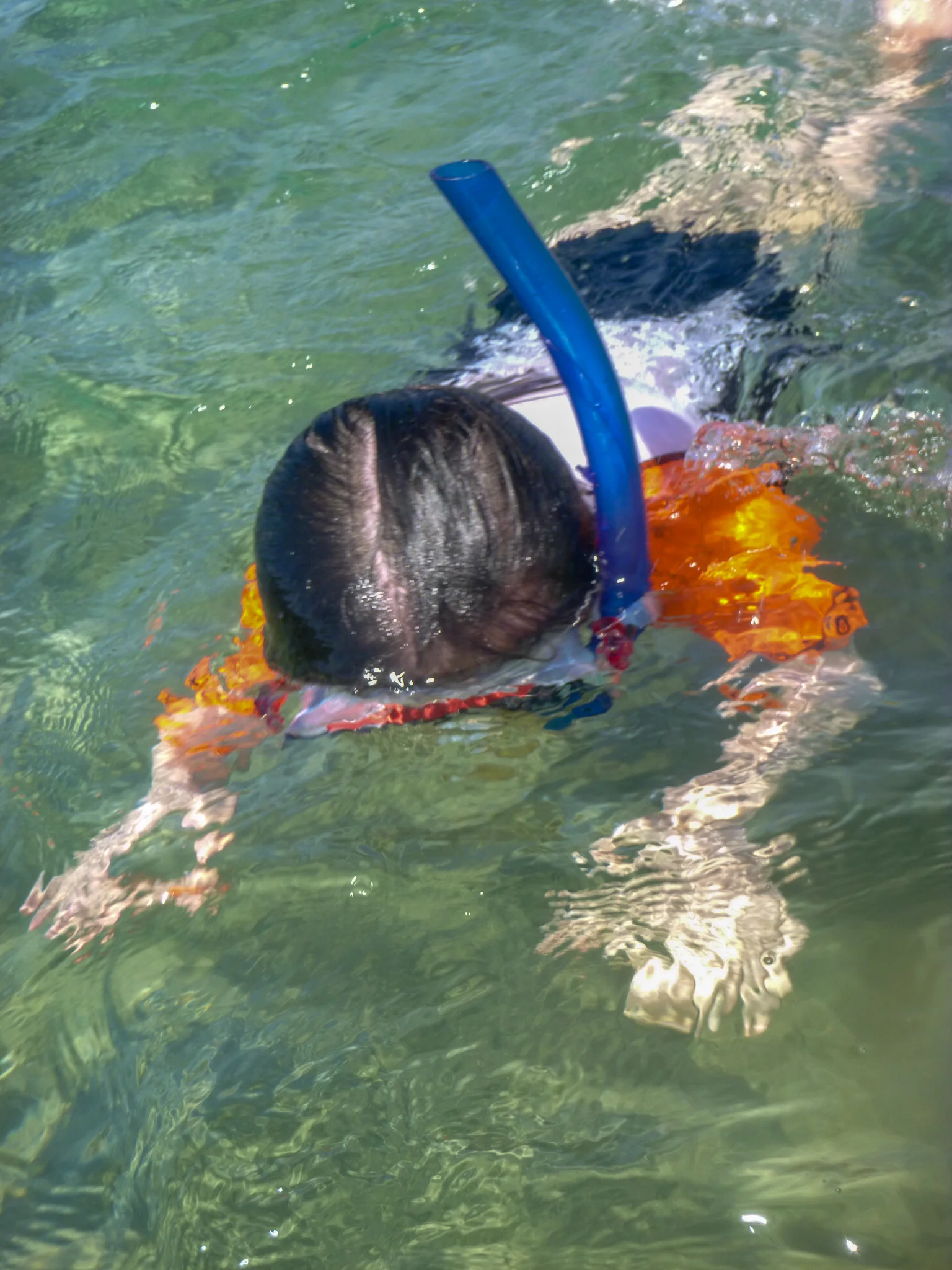 Happy just to see even one fish in the water, the snorkelling was still worthwhile