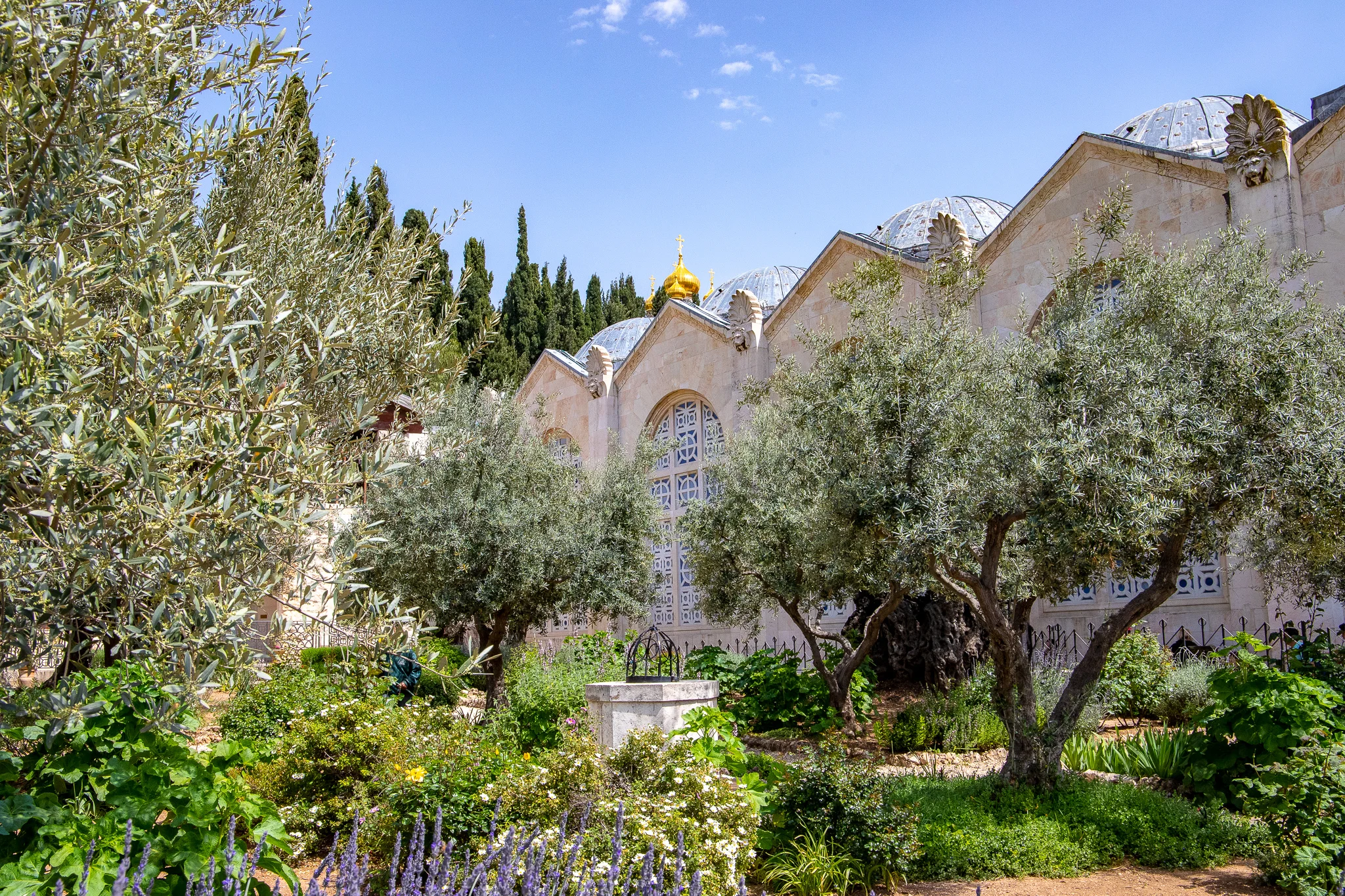 Garden of Gethsemane