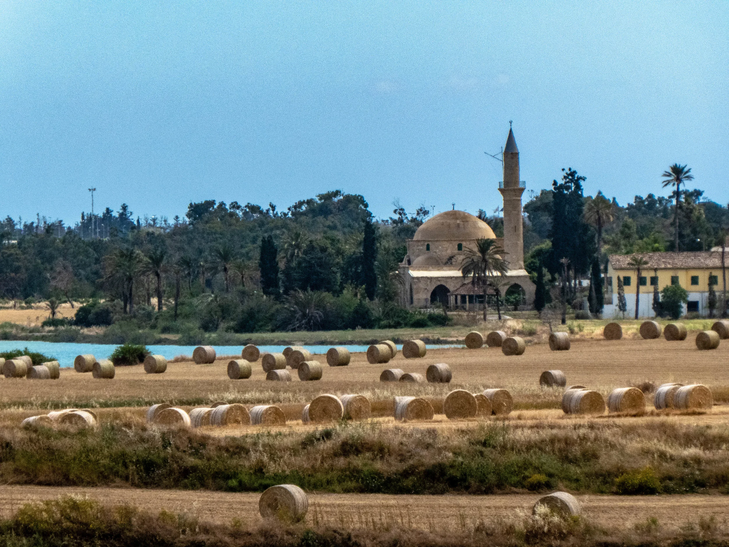 Mosque views from the farmlands