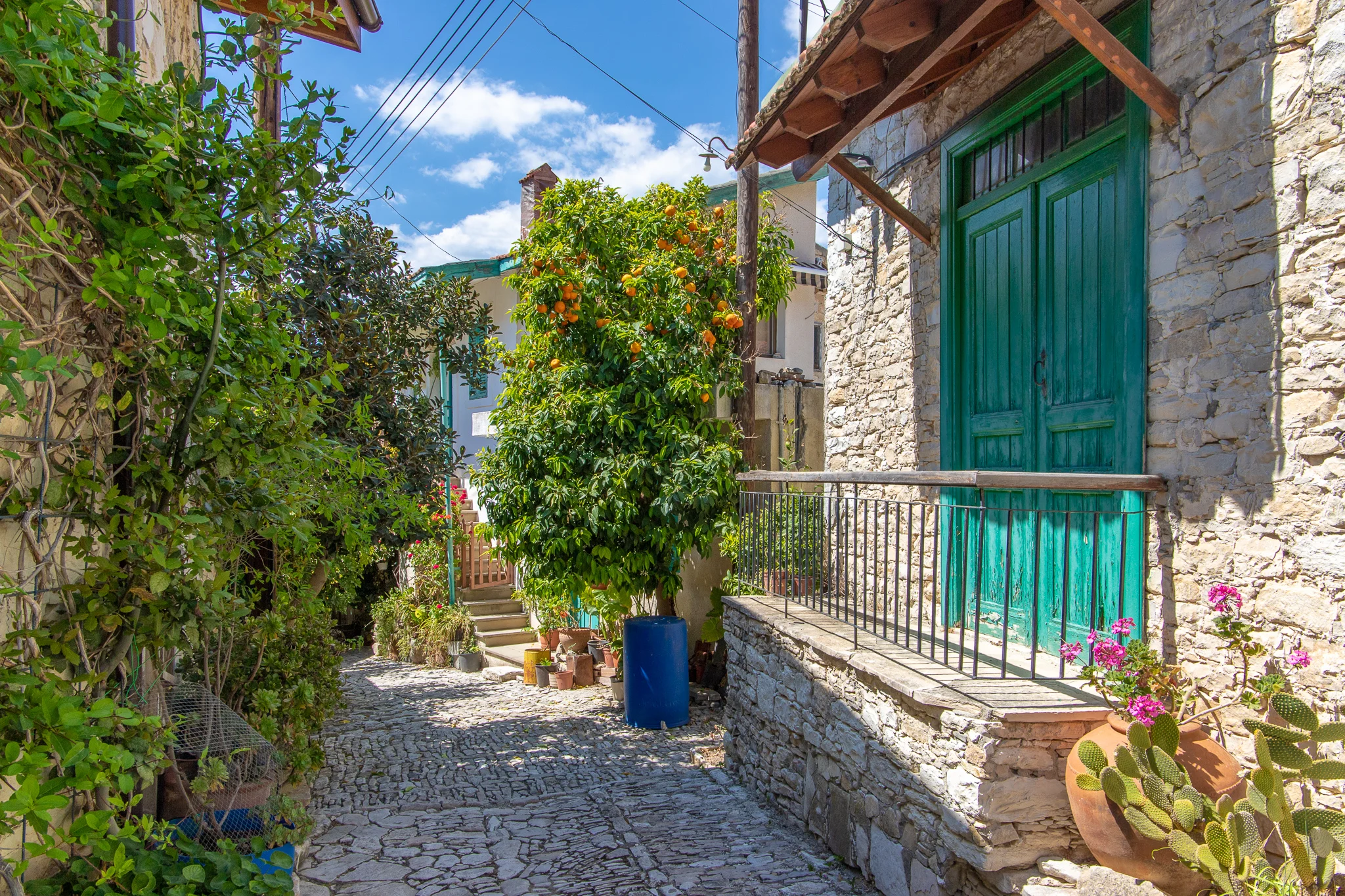Narrow lanes and orange trees