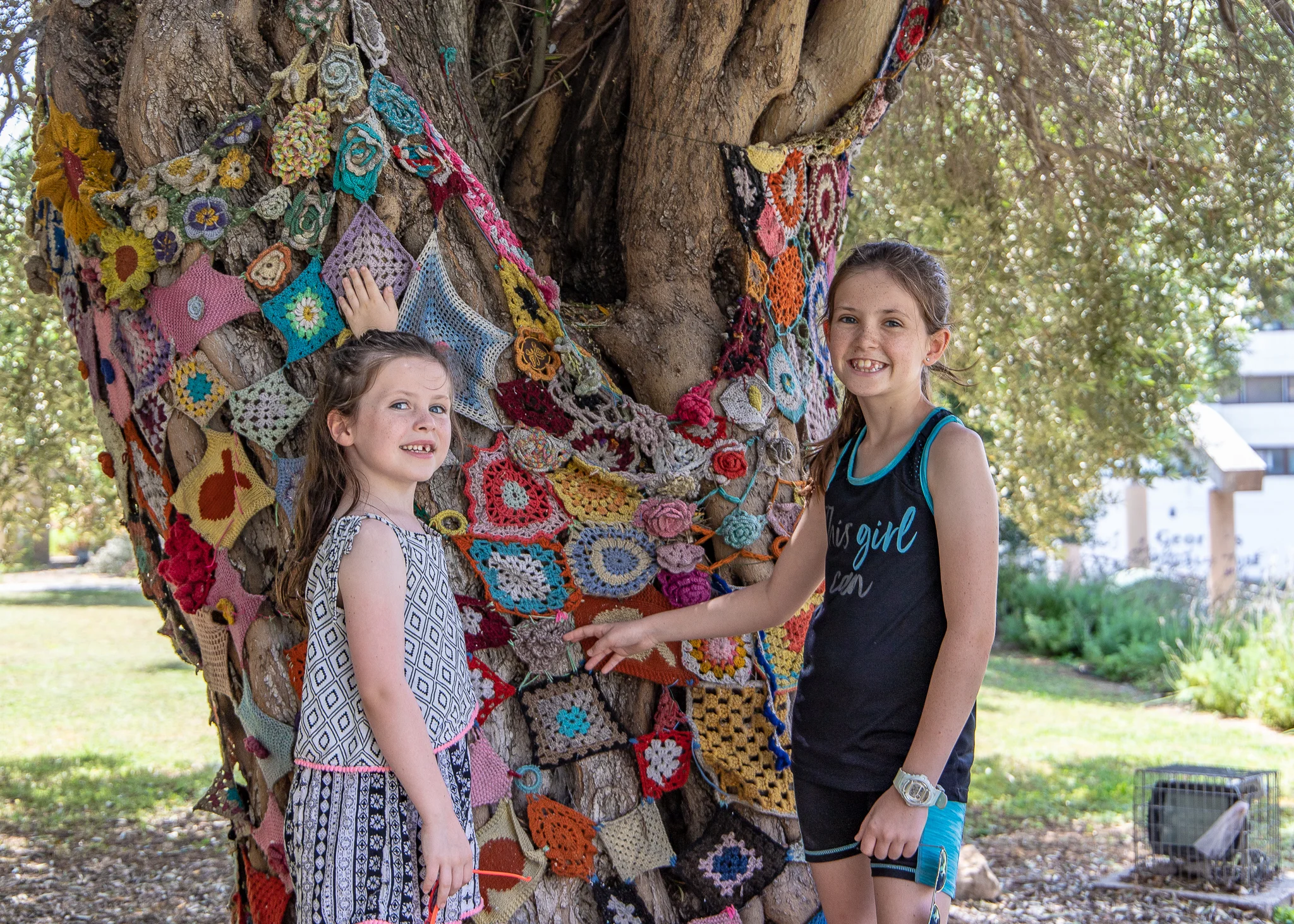 A crocheted tree just outside the Municipal Gallery
