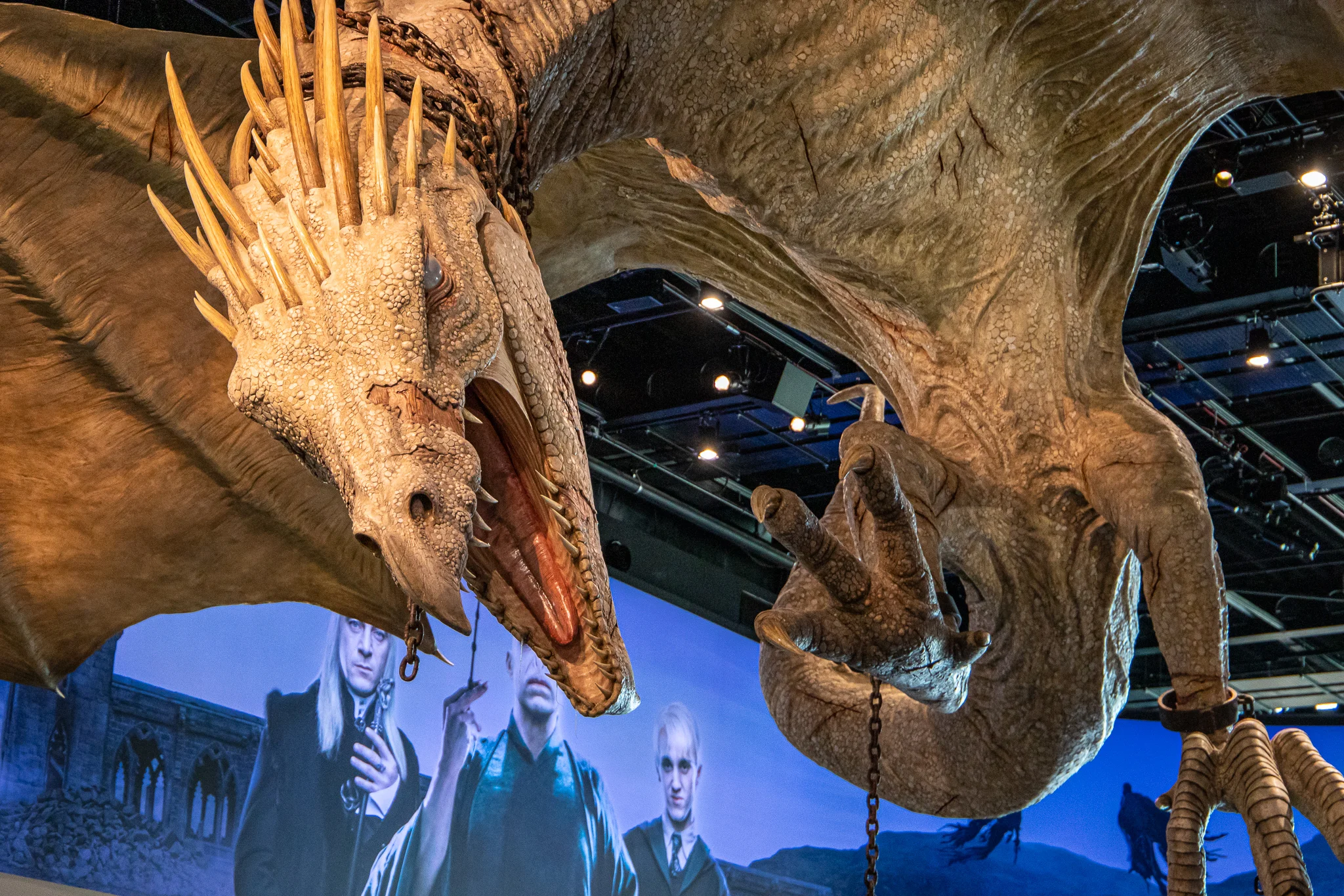 Here be dragons!