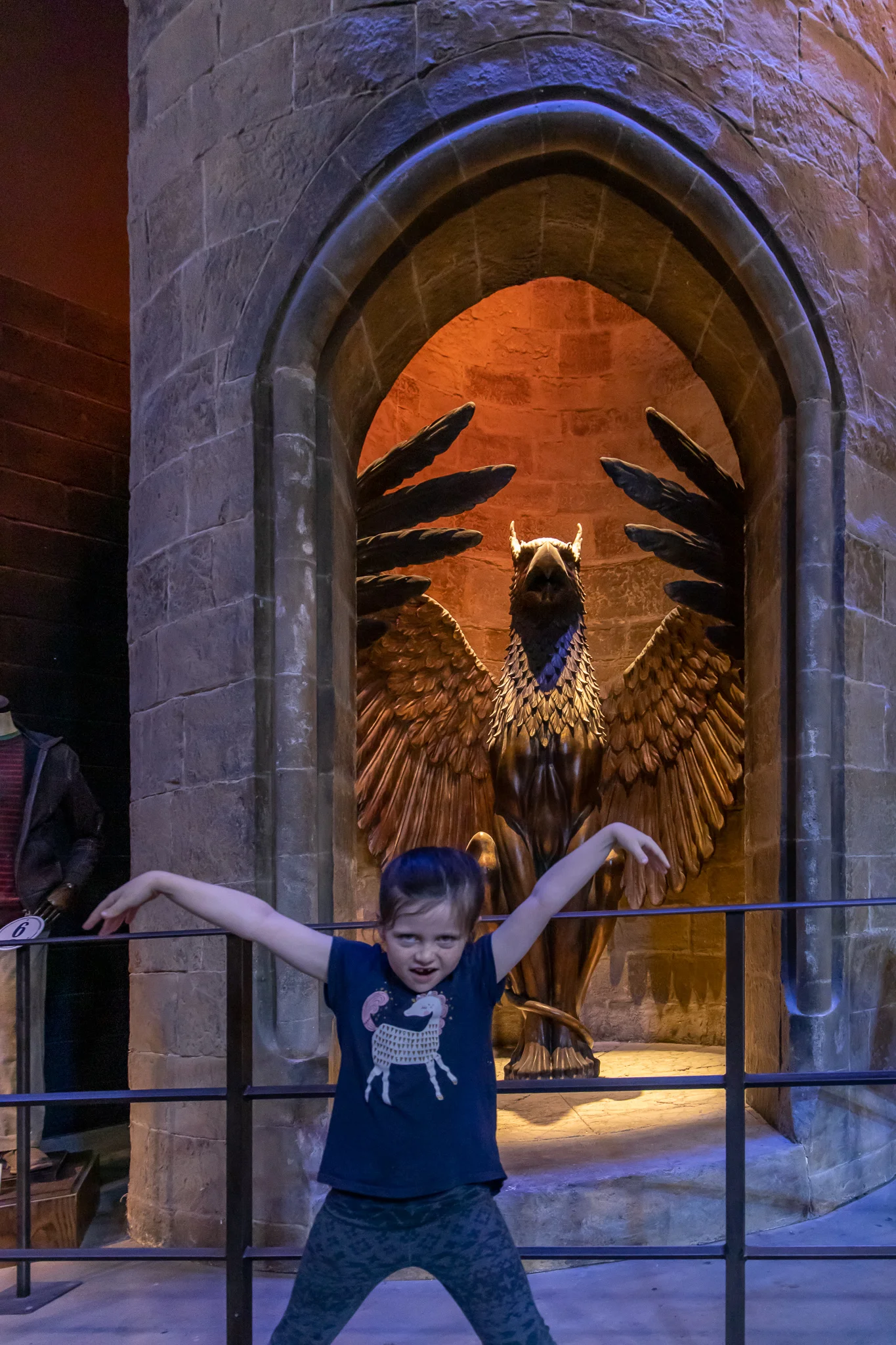 Two phoenixes