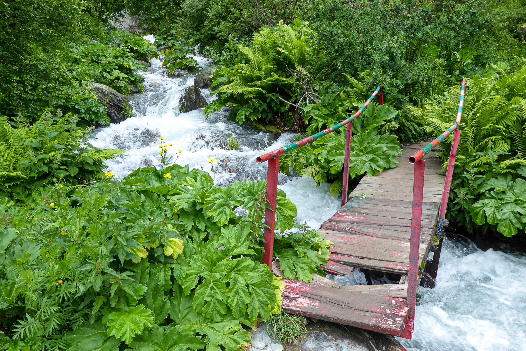 The Bridge