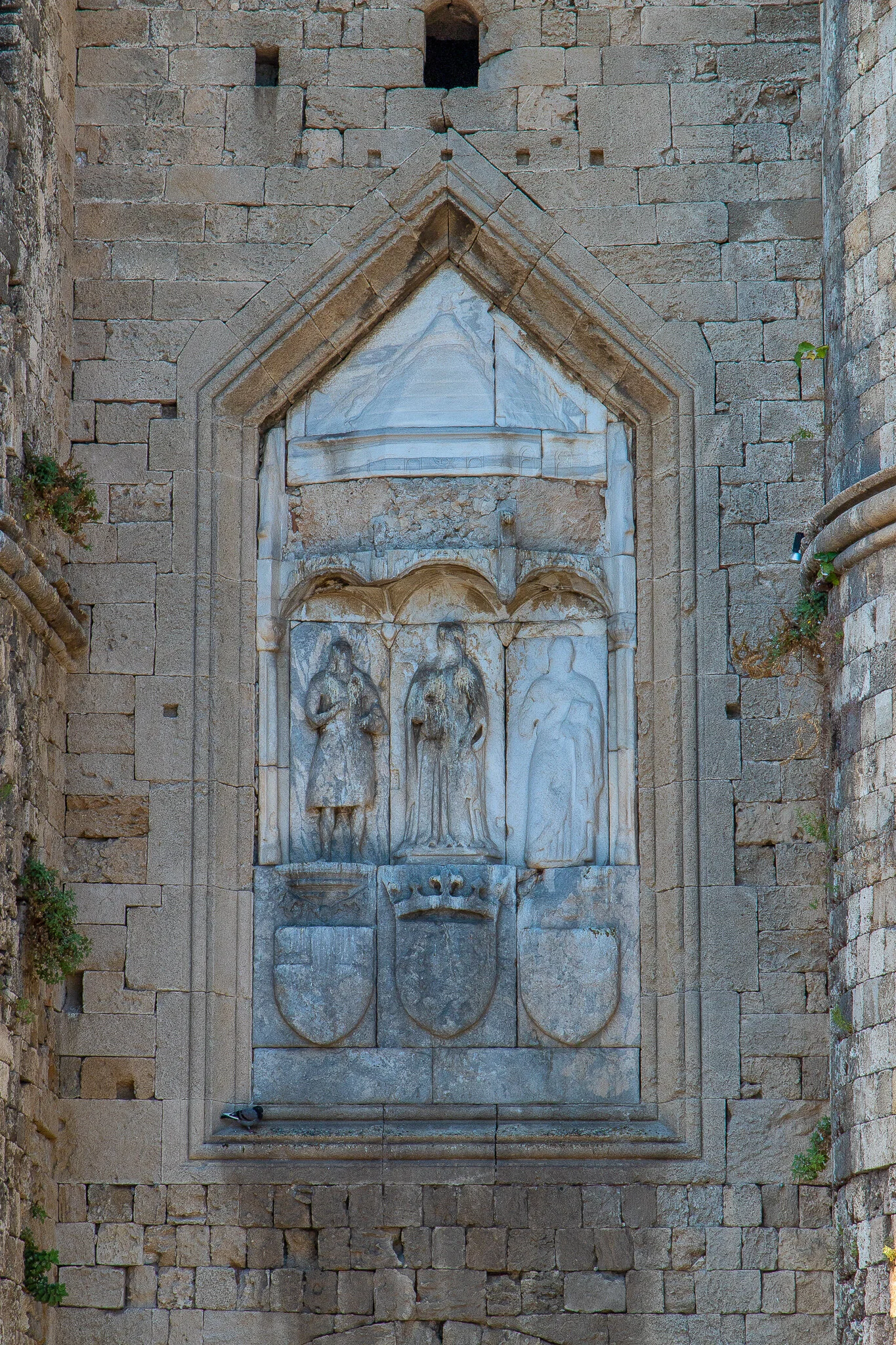 IMG_8912.jpg
