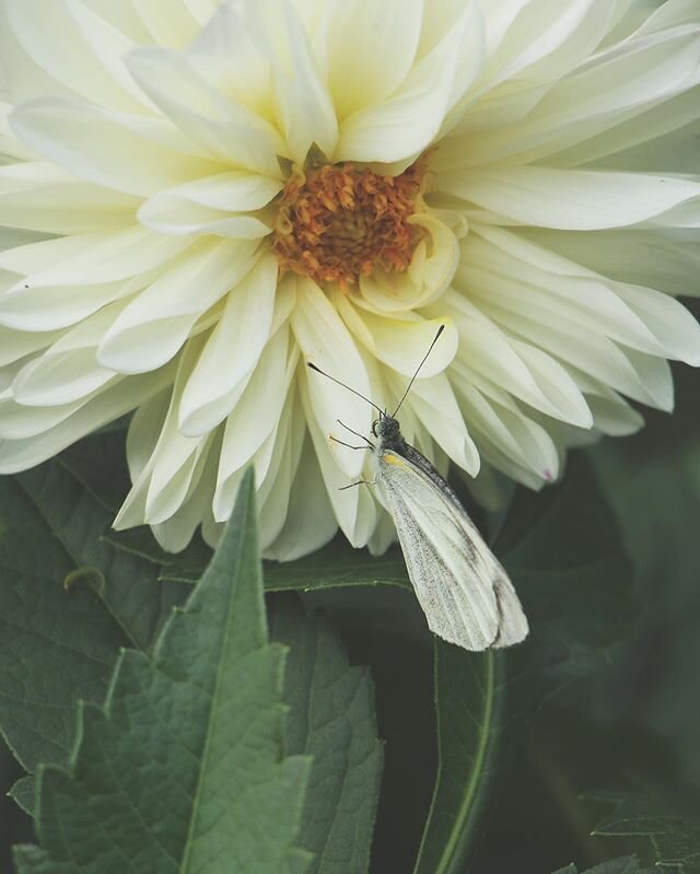 &bull;