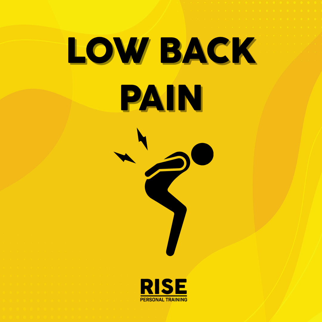 Low Back Pain: Why It Happens and How to Train Around It