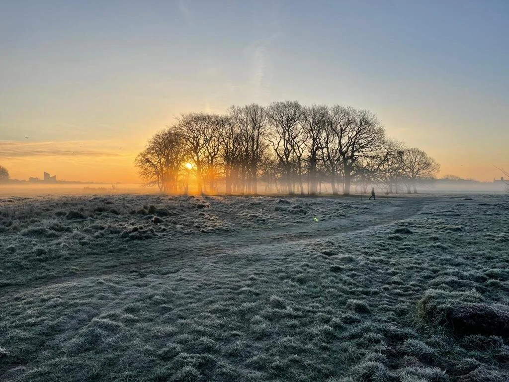 WhatsApp Image 2021-03-22 at 15.28.20.jpeg