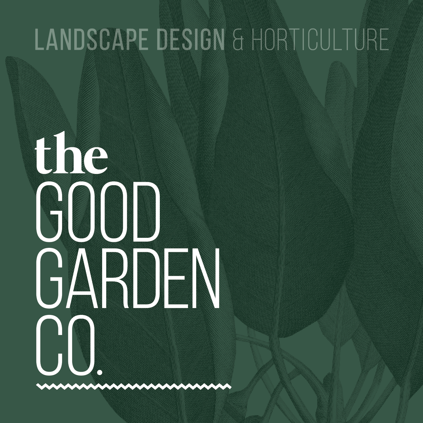 THE GOOD GARDEN CO &nbsp;// &nbsp;BRANDING