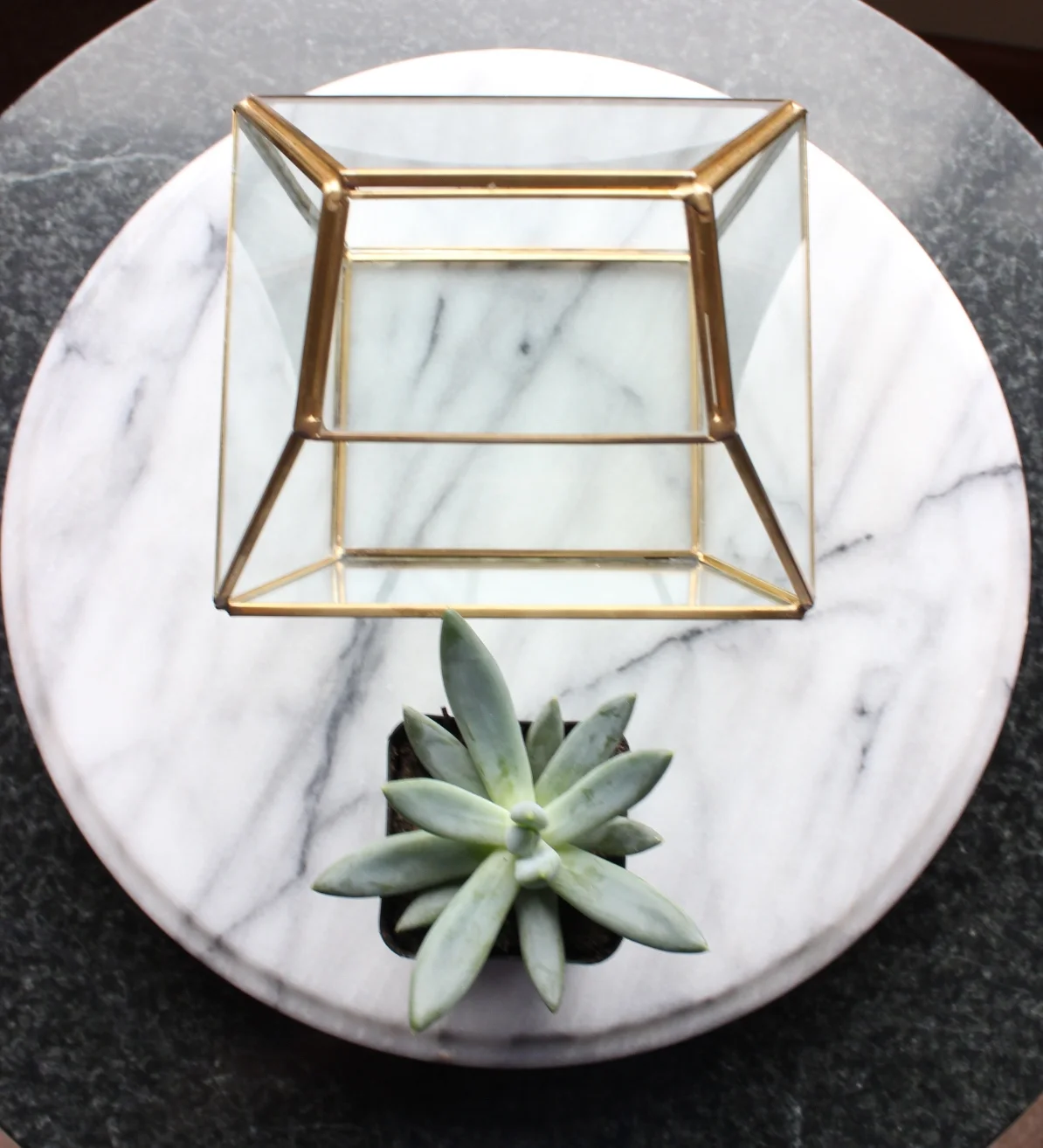 DIY Geometric Succulent Terrarium
