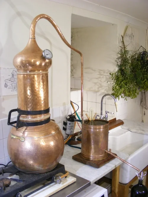 About Flower Essences Natural Remedy Saskia’s Flower Essences