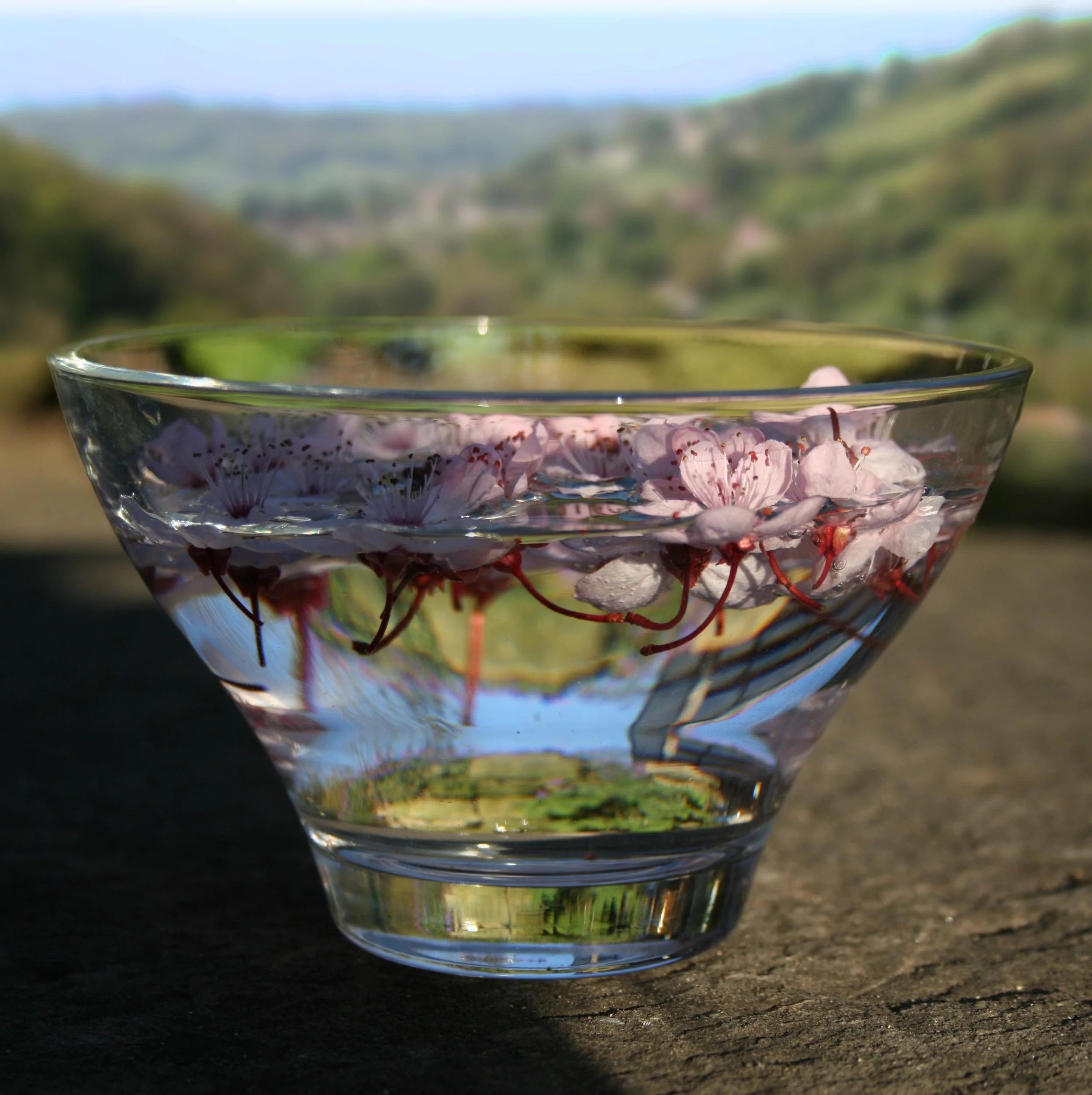bowl.jpg
