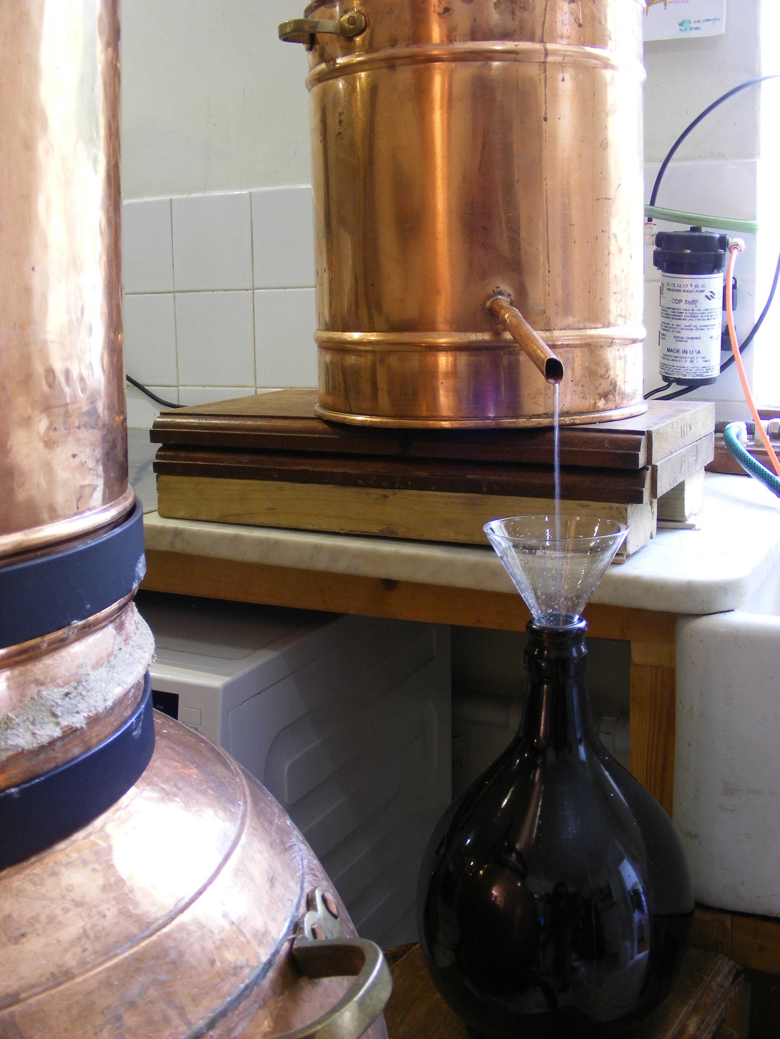 big still close up.JPG