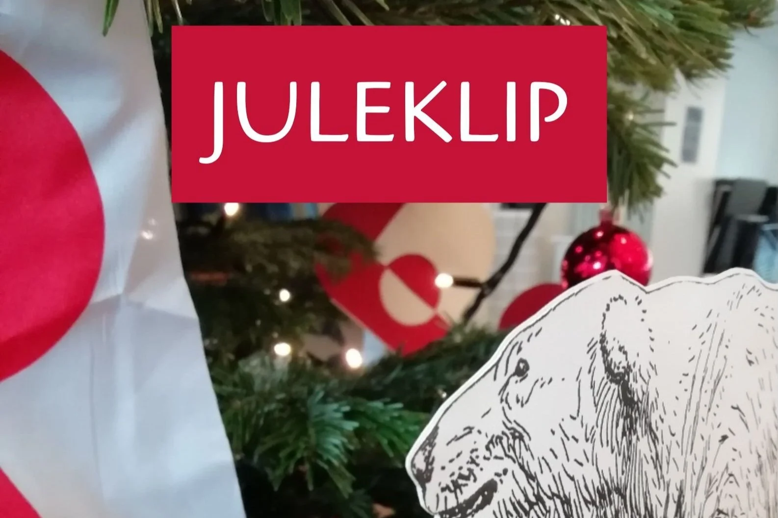Juleklip i DGH Aalborg