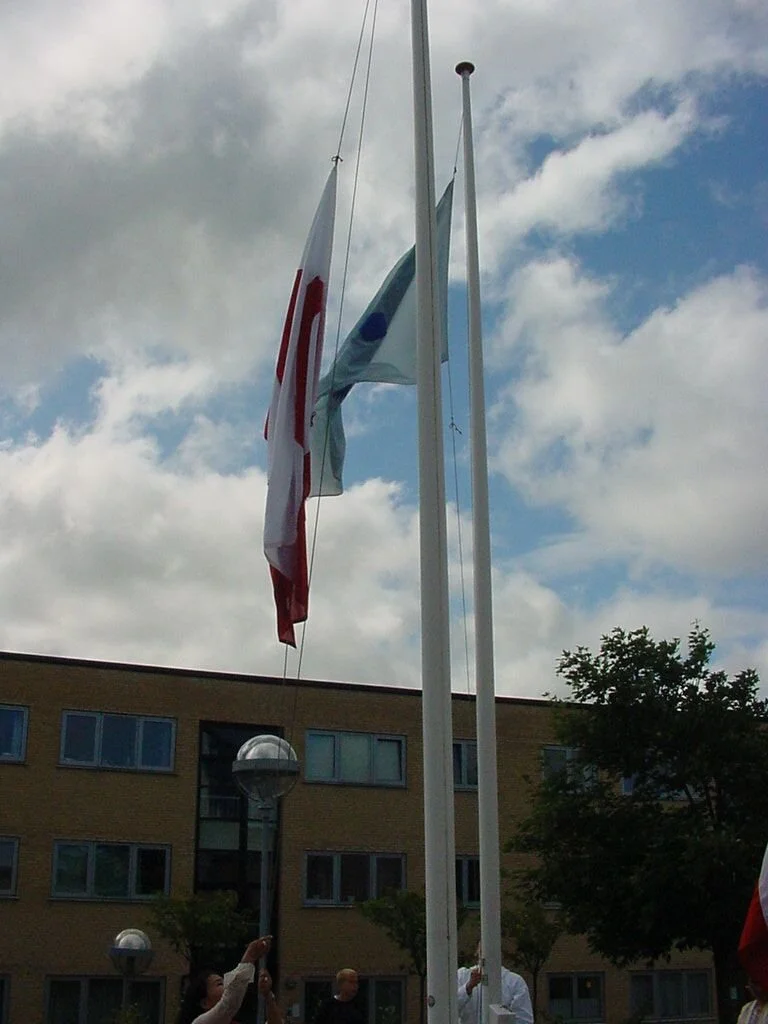 Nationaldag 2003 Flag (4).jpg