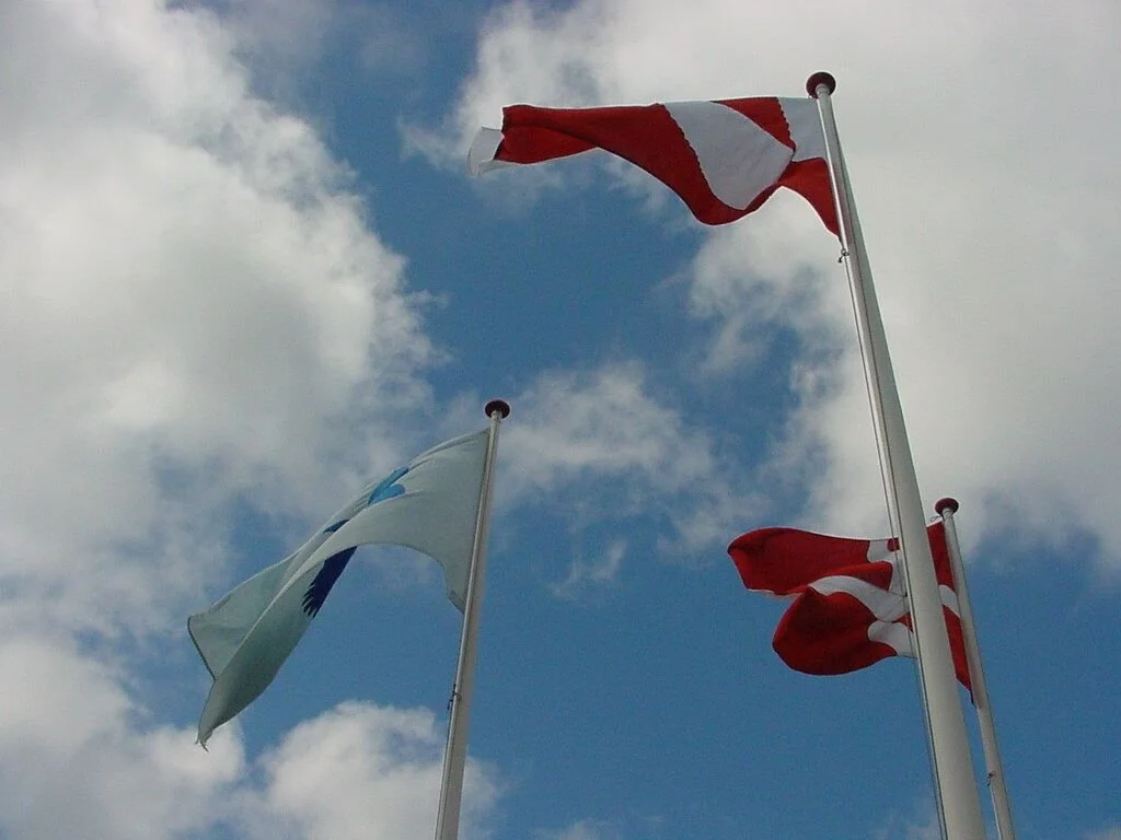 Nationaldag 2003 Flag (5).jpg